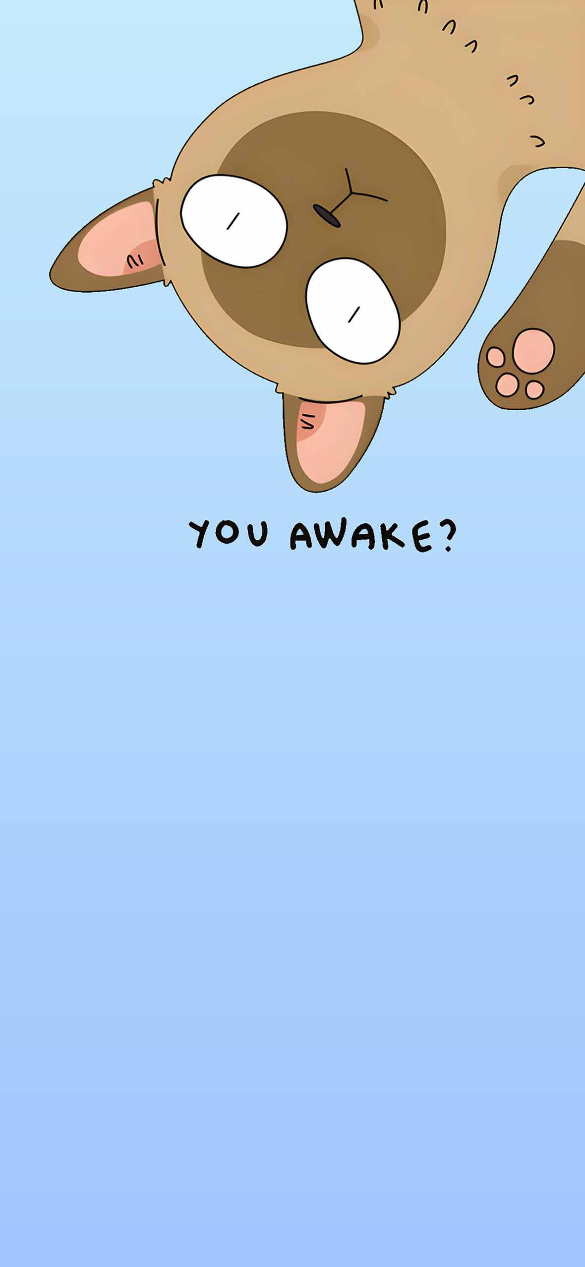 You Awake? Cat Funny Wallpaper