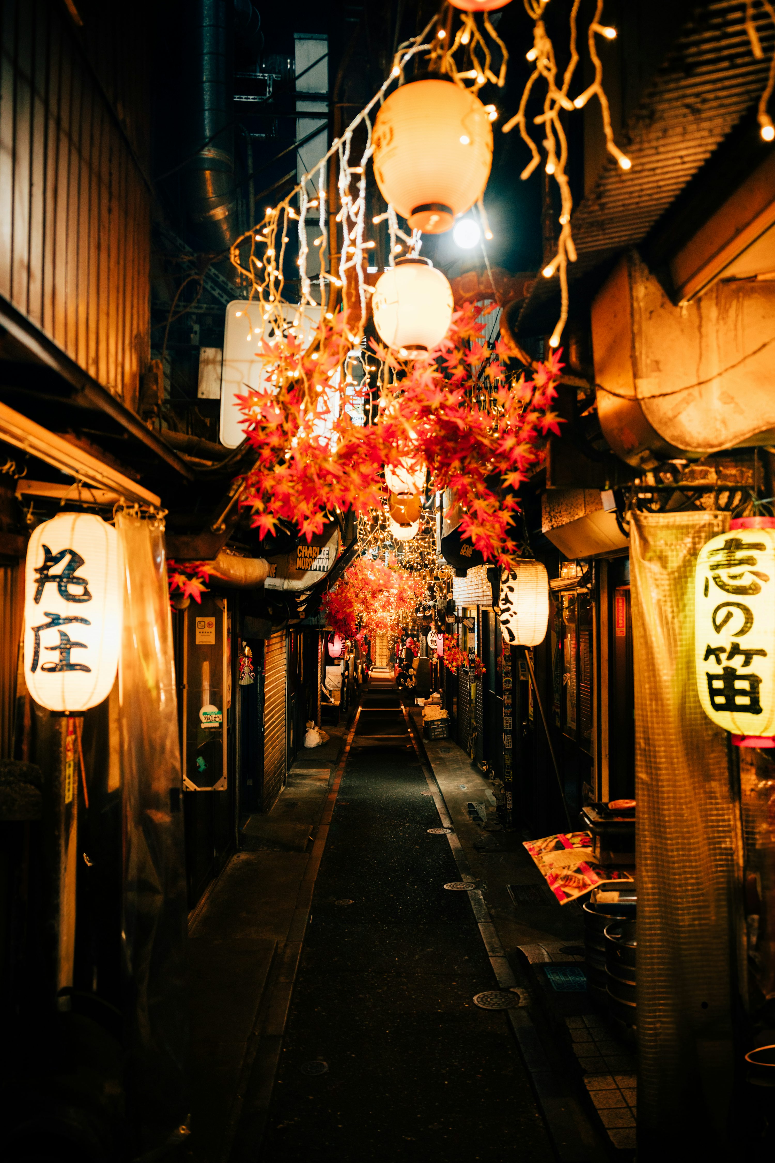 Cozy alleyway in japan decorated