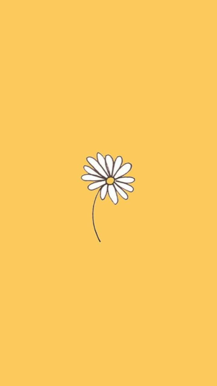 Download Aesthetic Daisy Cute Doodle