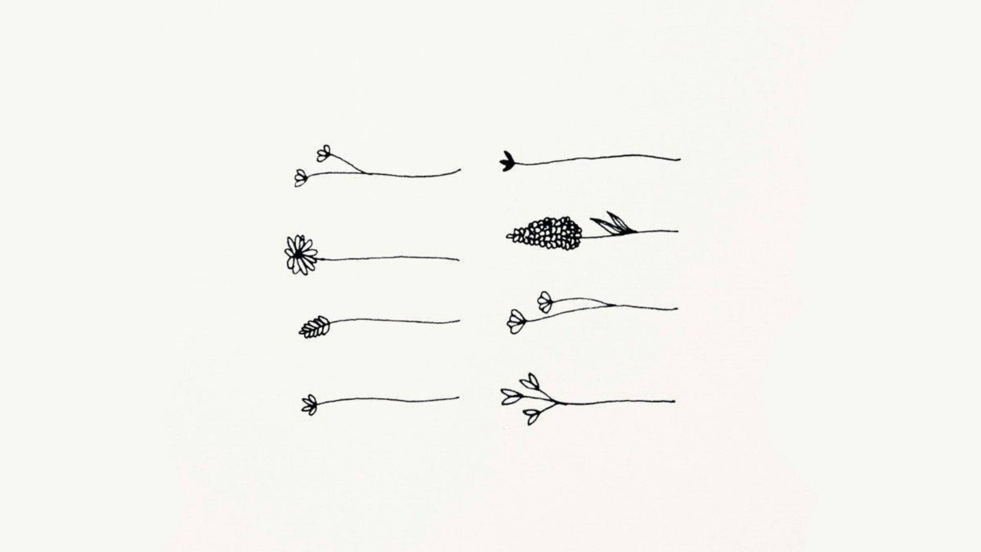 Flower Doodles In Cute White Aesthetic