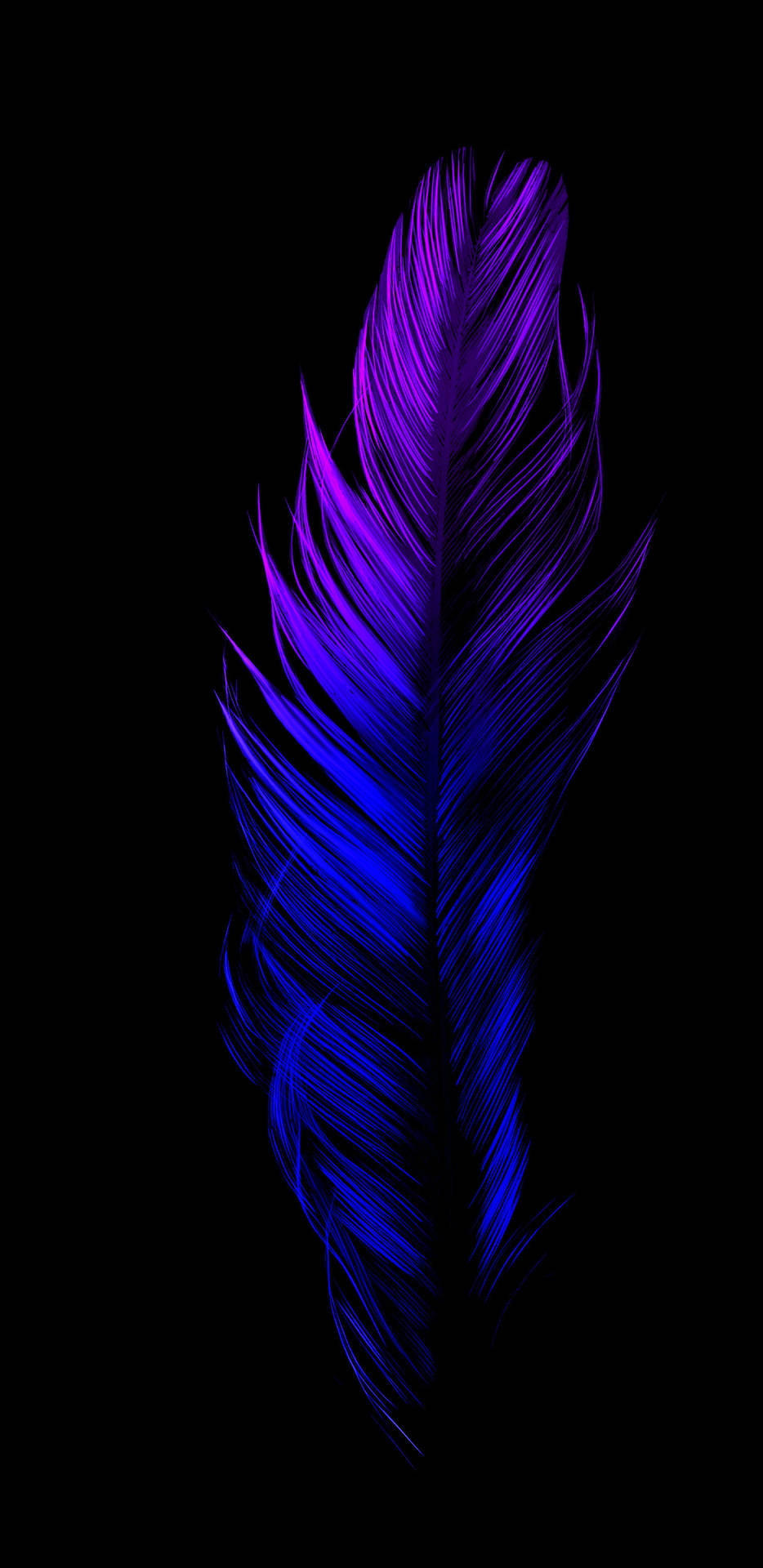 2k Amoled HD Wallpaper