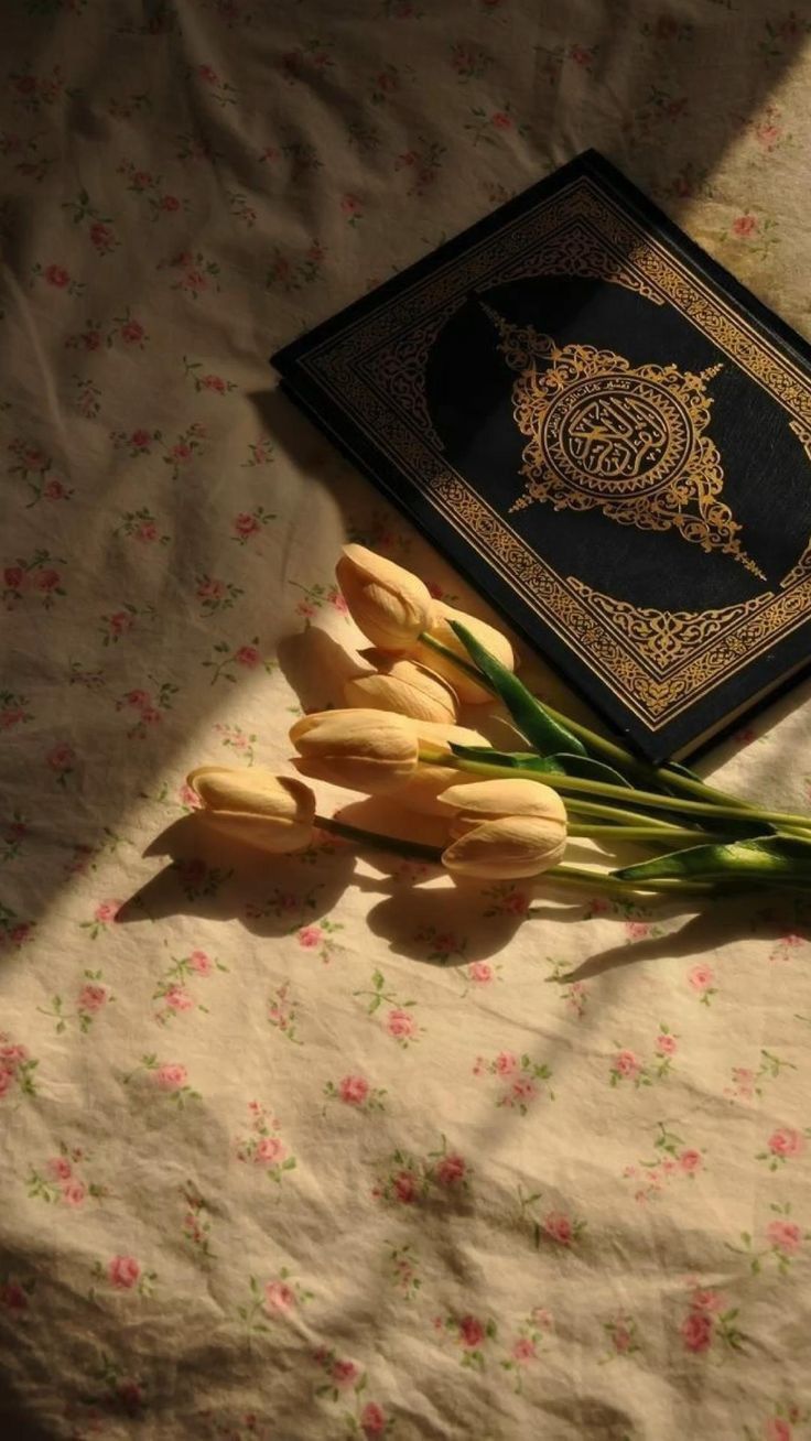 4k Islamic status photo Quran 4k HD
