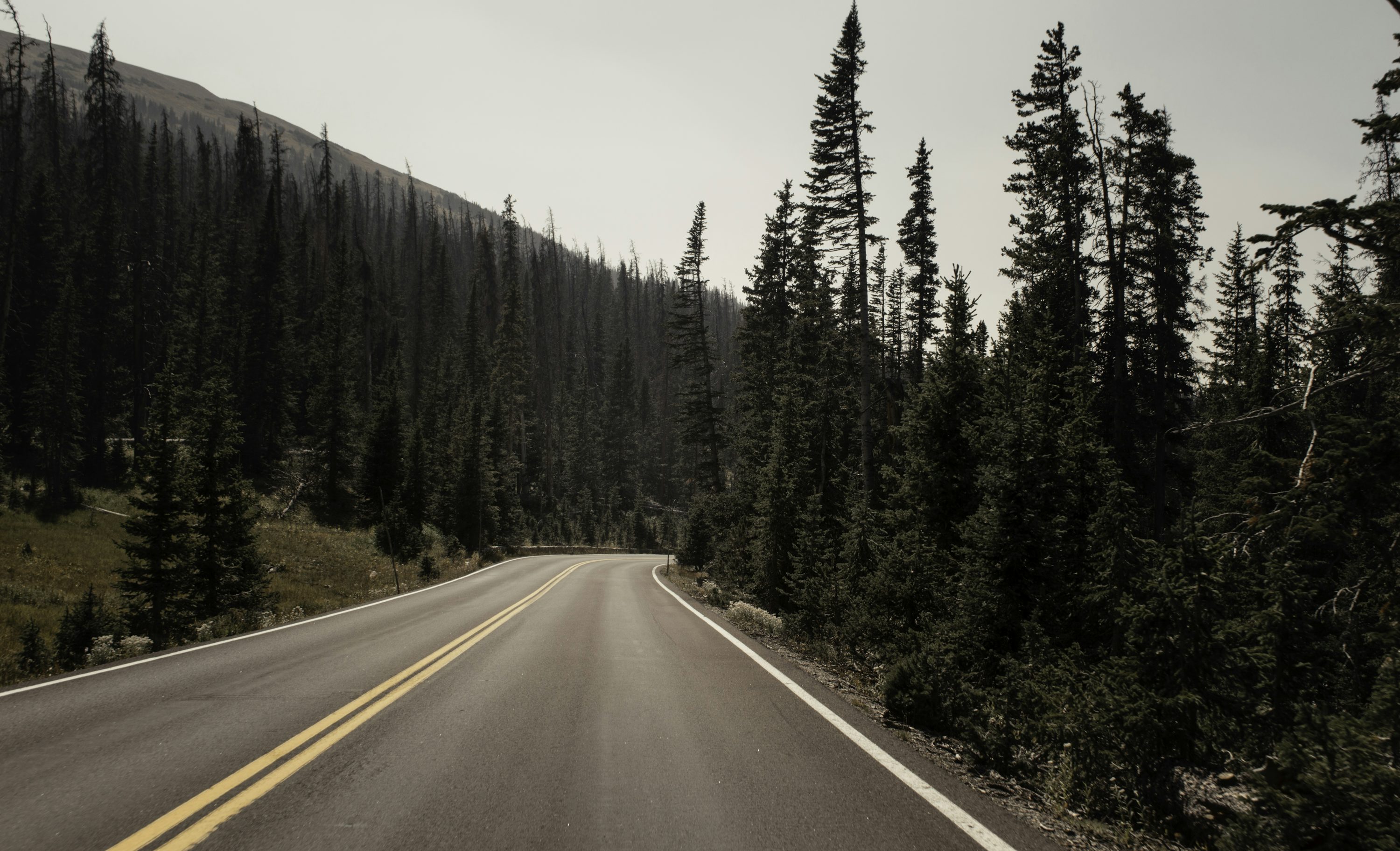 Road Background [HQ]. Download