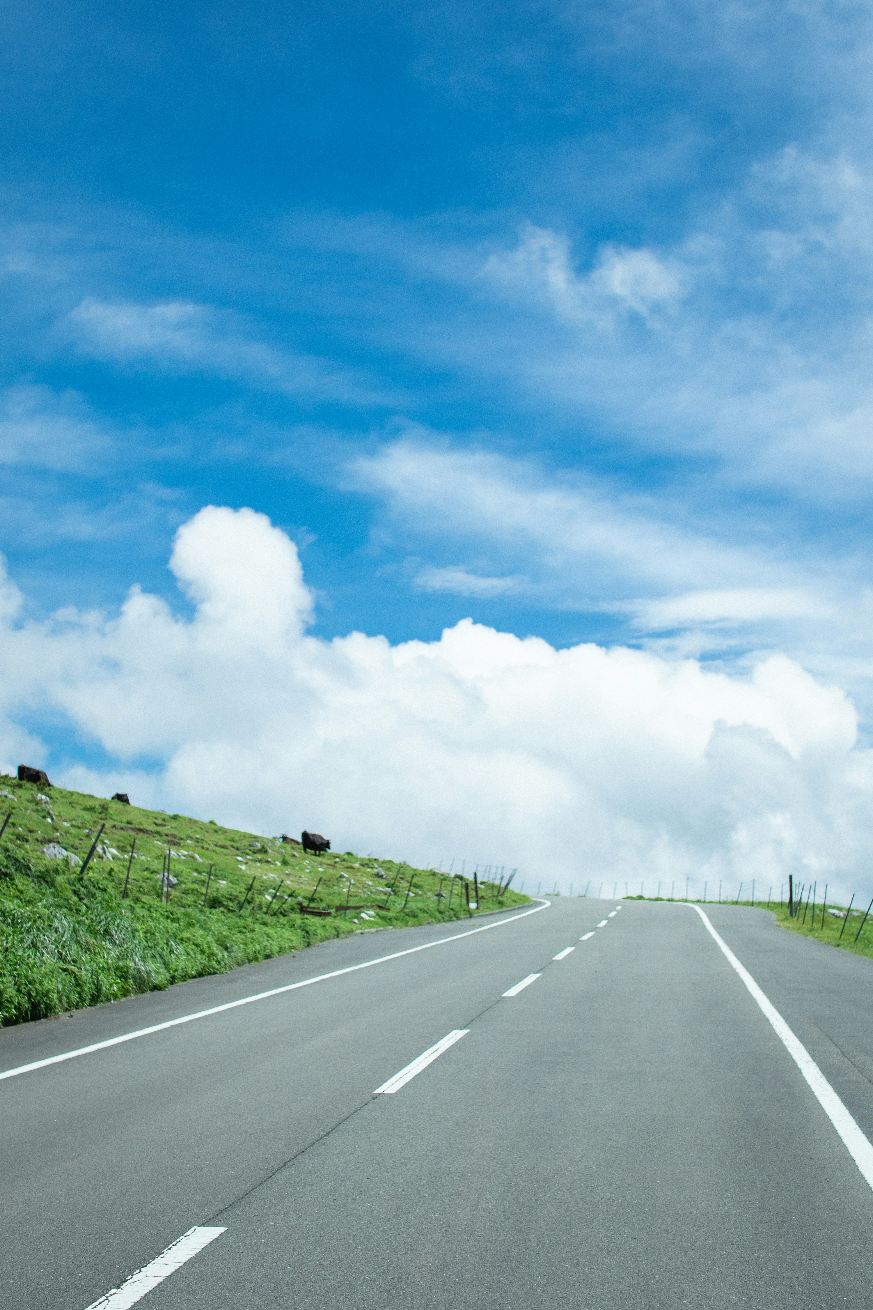 Road Background [HQ]. Download