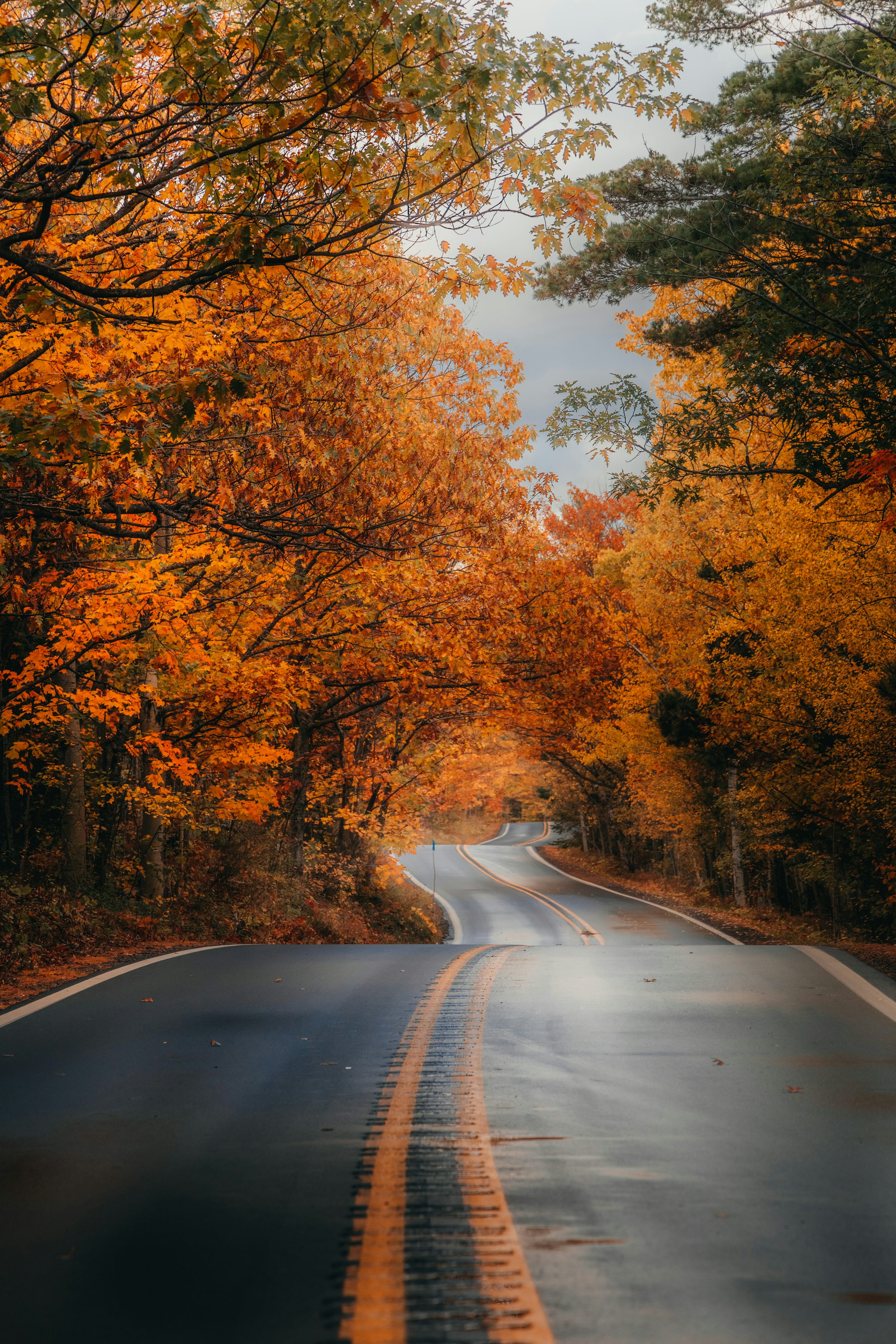Road Wallpaper Picture