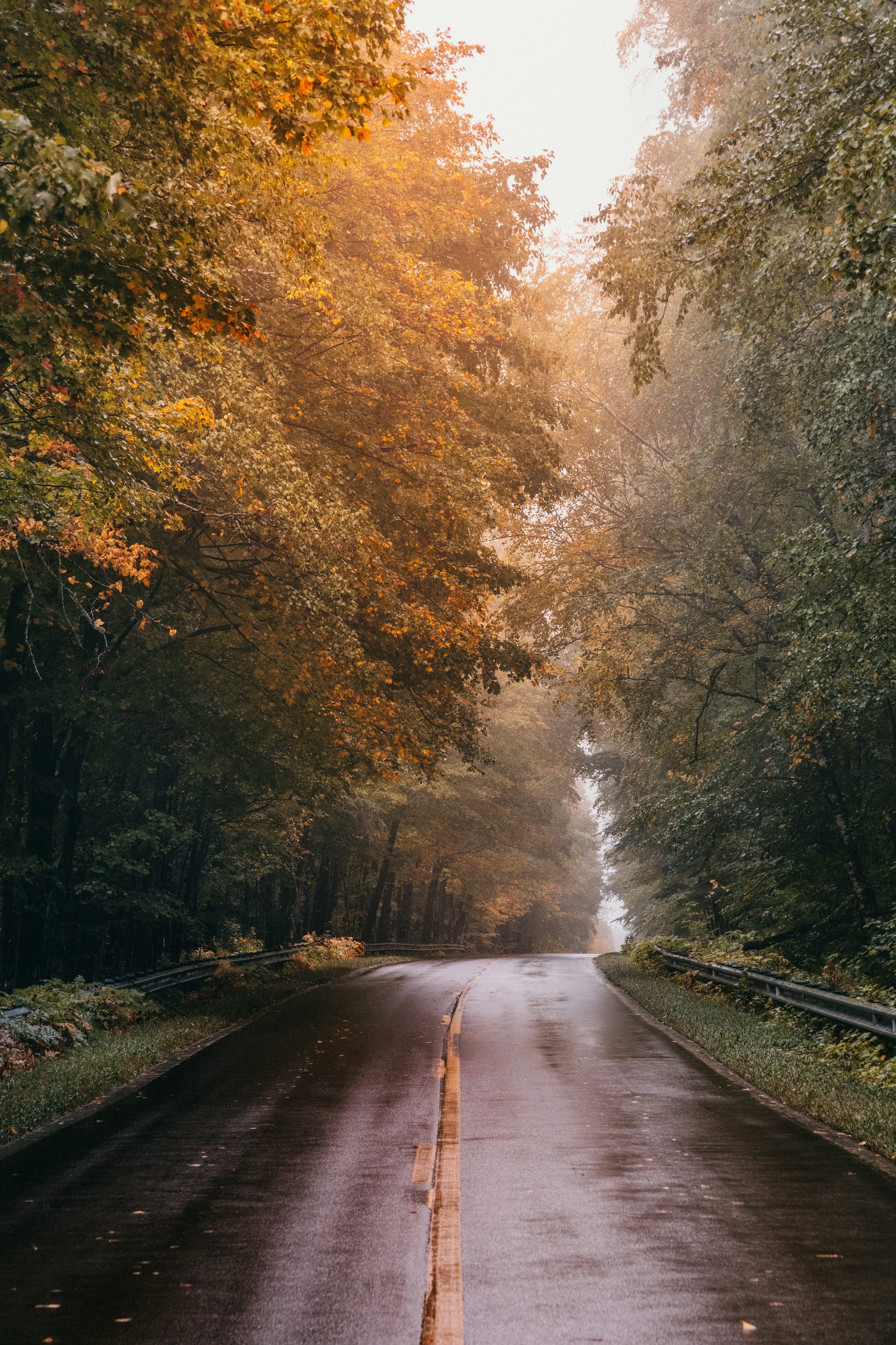 Road Wallpaper Picture