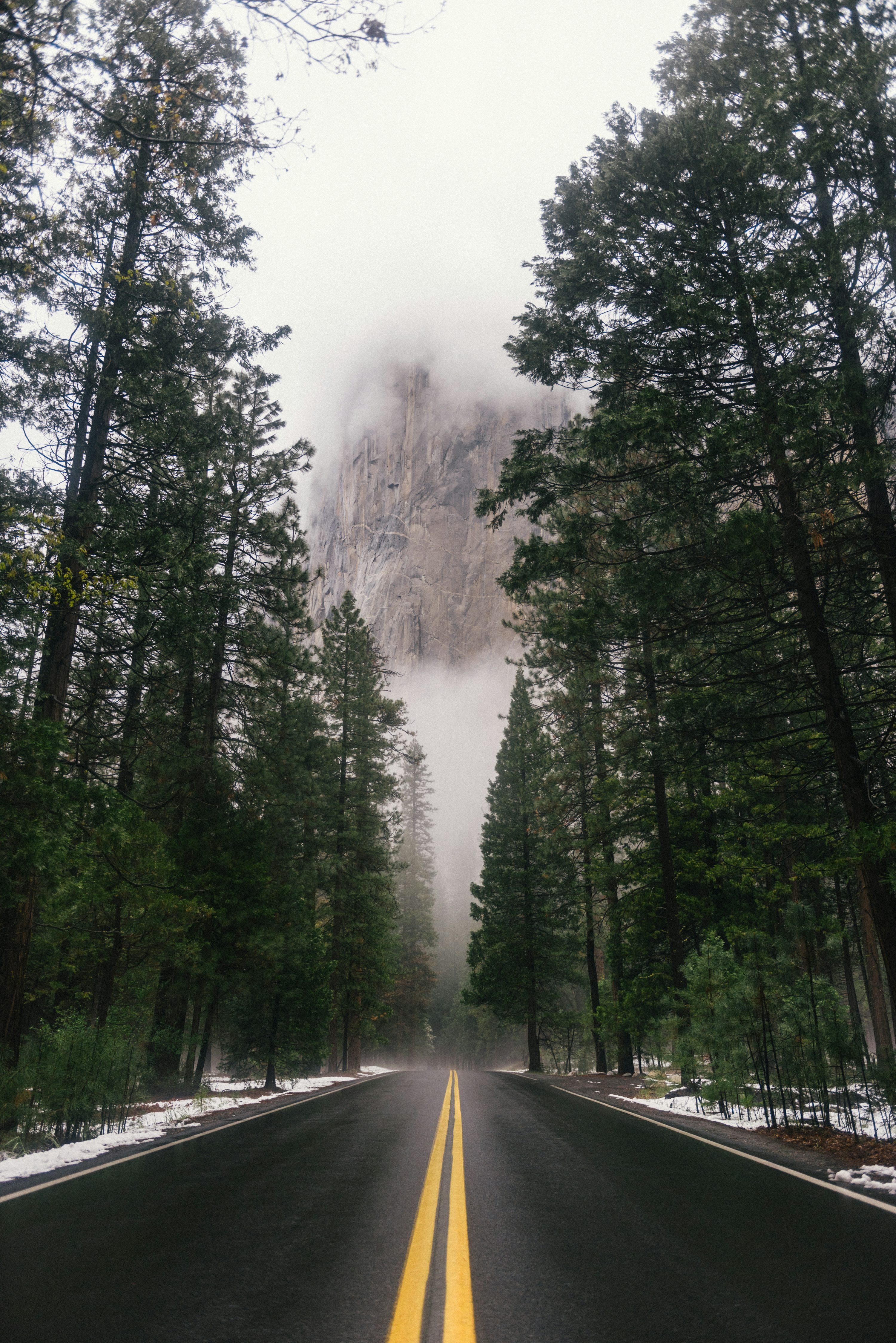 Road Background [HQ]. Download