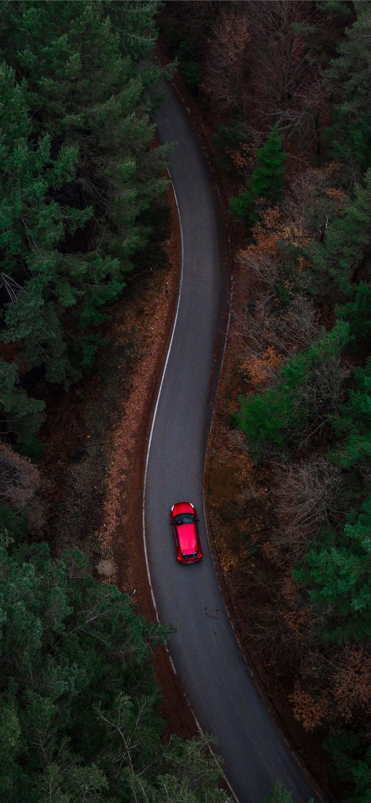 aerial photo of red car passing