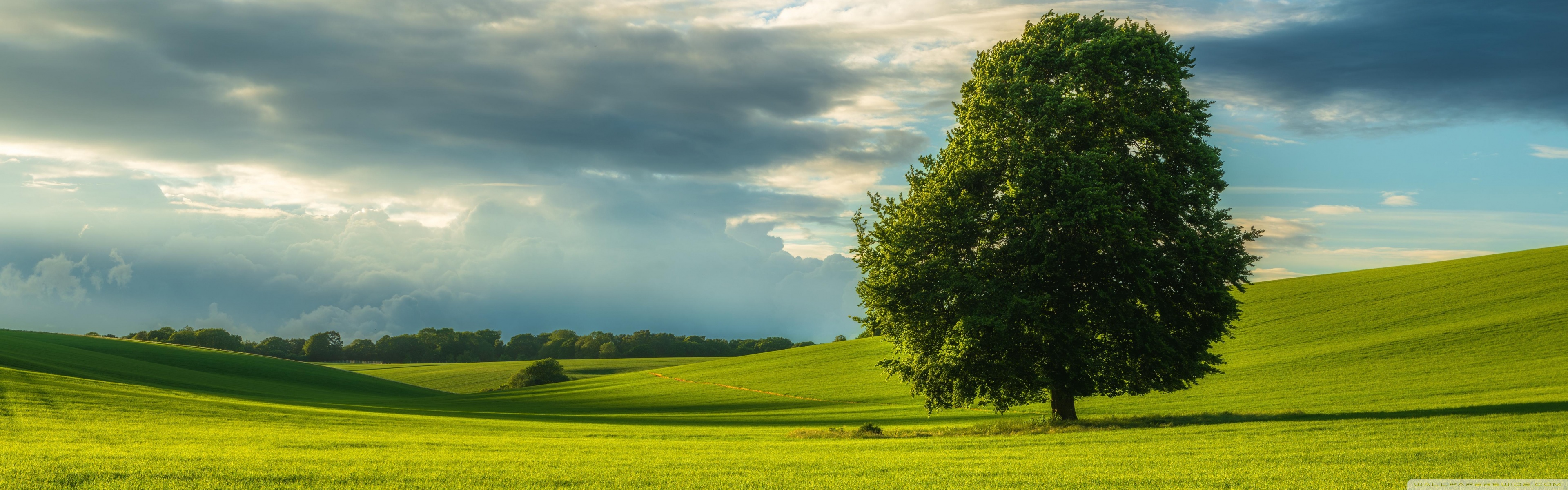 Country Landscape 4K UHD Wallpaper