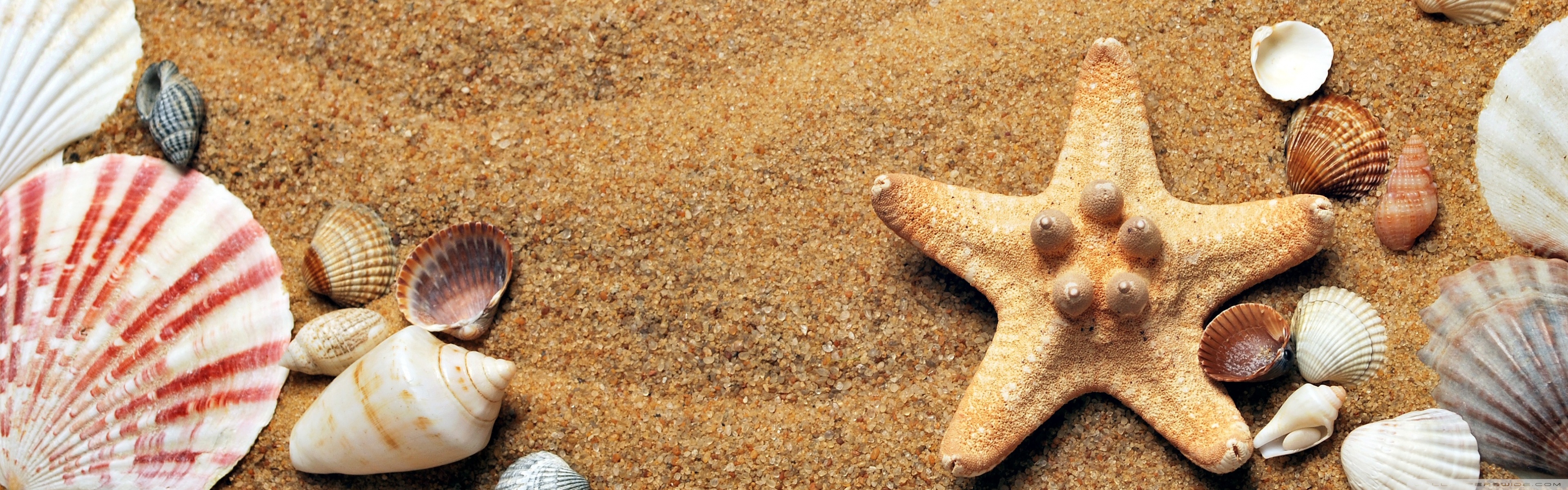 Summer Background 4K UHD Wallpaper