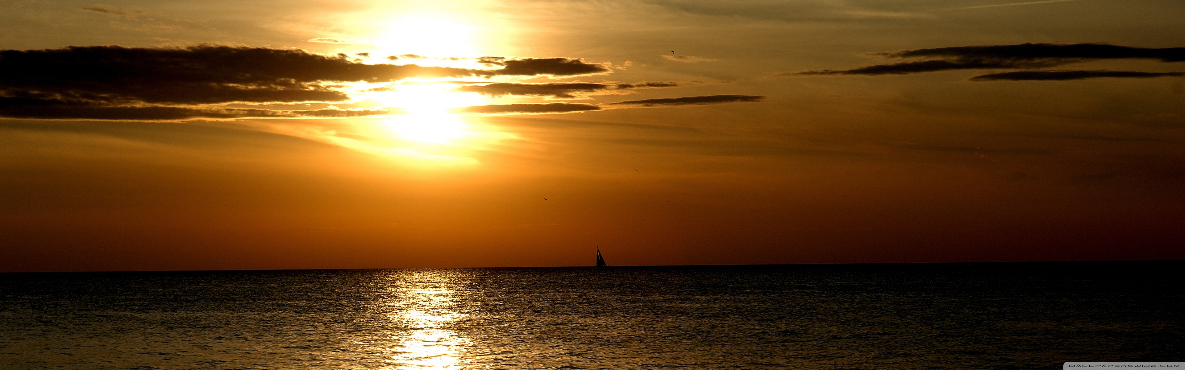 Golden Sunset, Summer 4K UHD Wallpaper