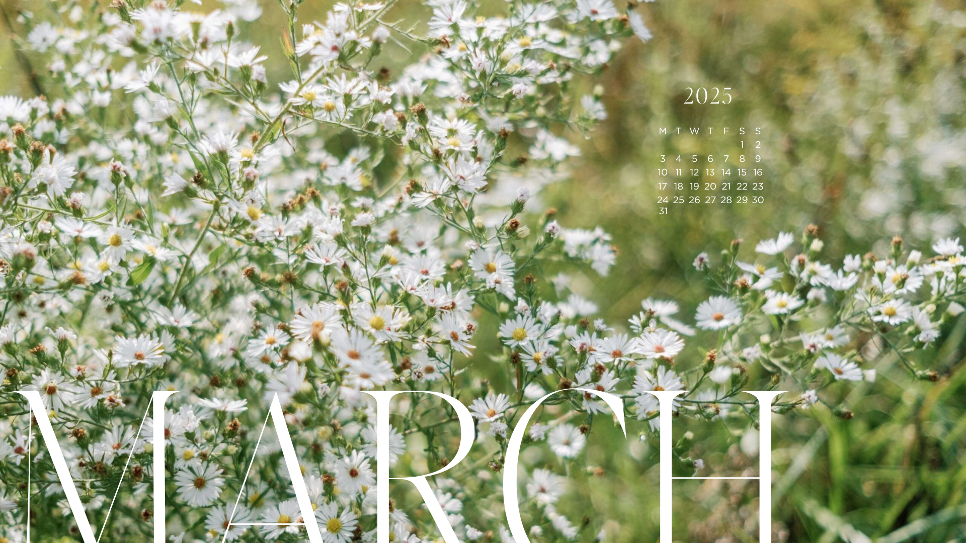 Spring Tech Background