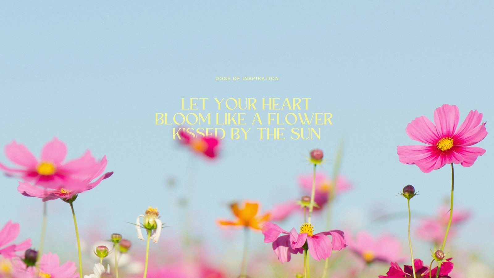 spring desktop wallpaper