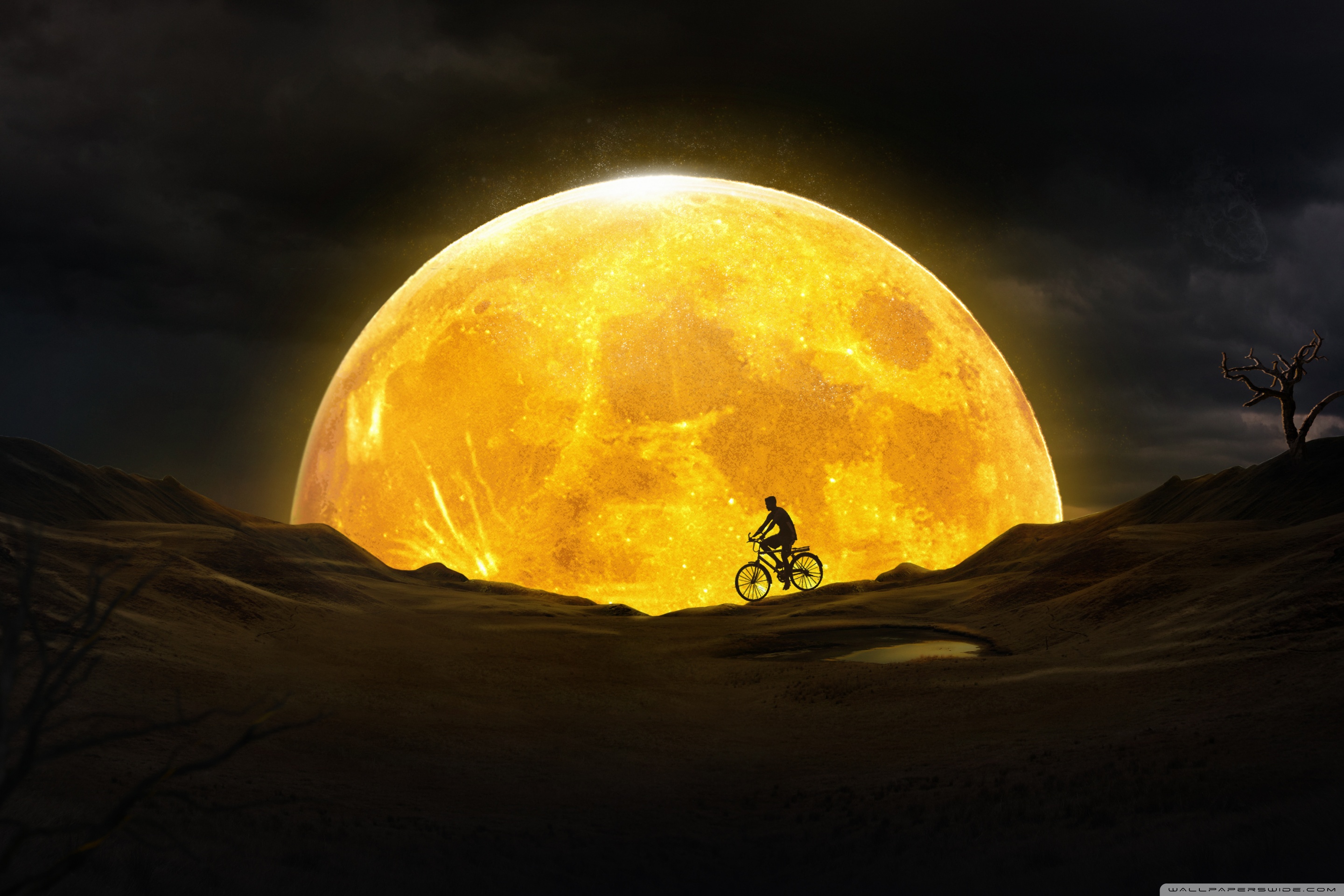 Halloween Full Moon 4K UHD Wallpaper