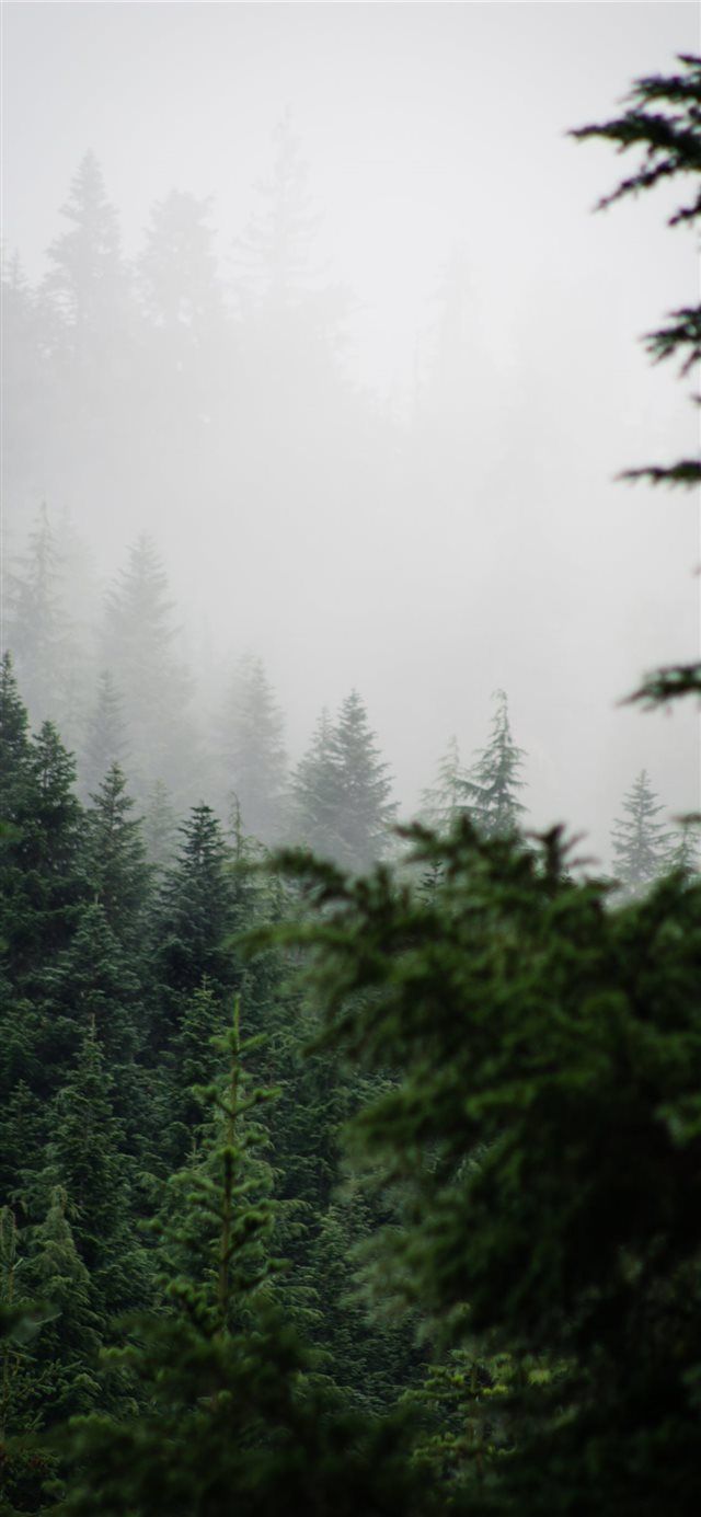 Alpine Lakes Wilderness