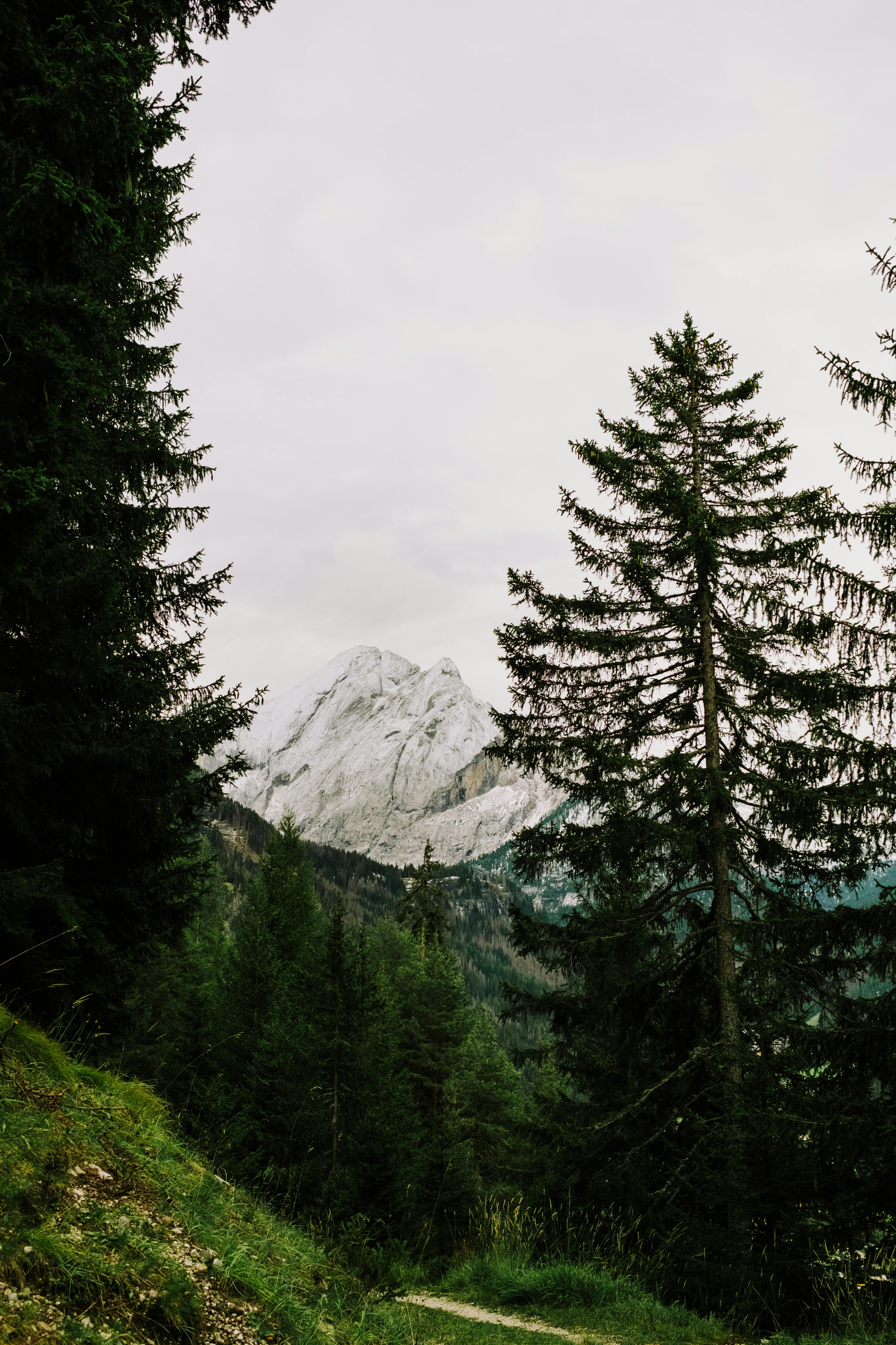 Scenic Alpine View in Canazei, Italy