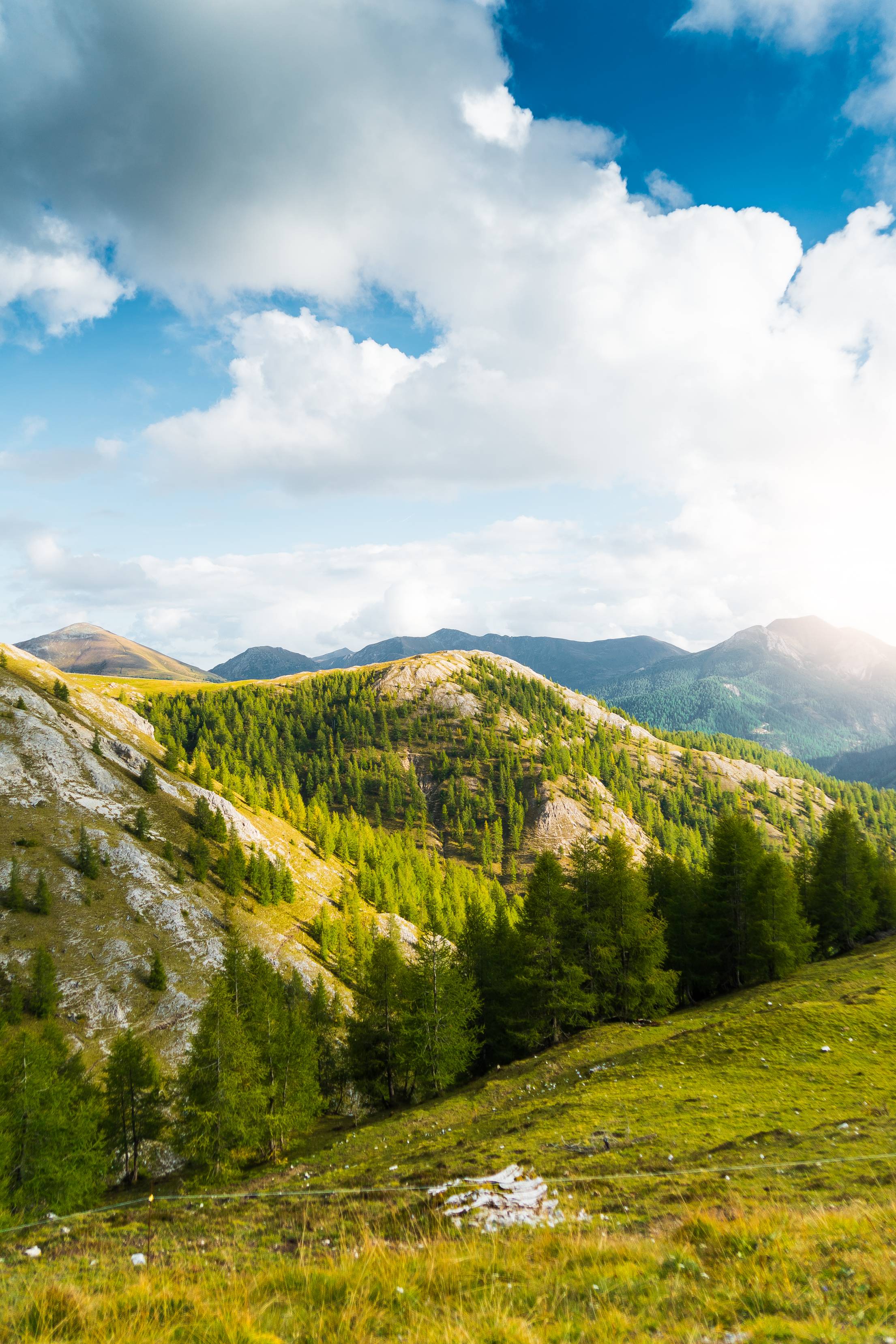 Scenery Around Nockalm Mountain Road