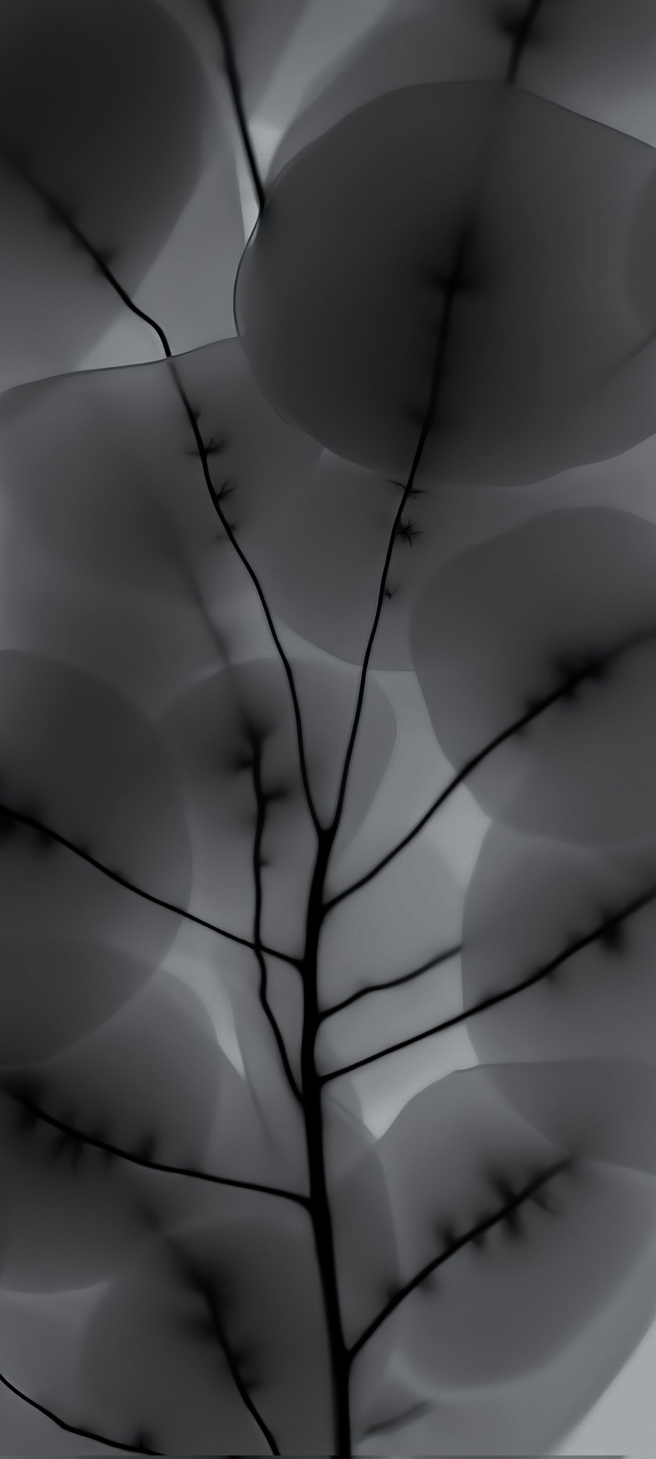 nothingphone2 #nothingphone1 #wallpaper