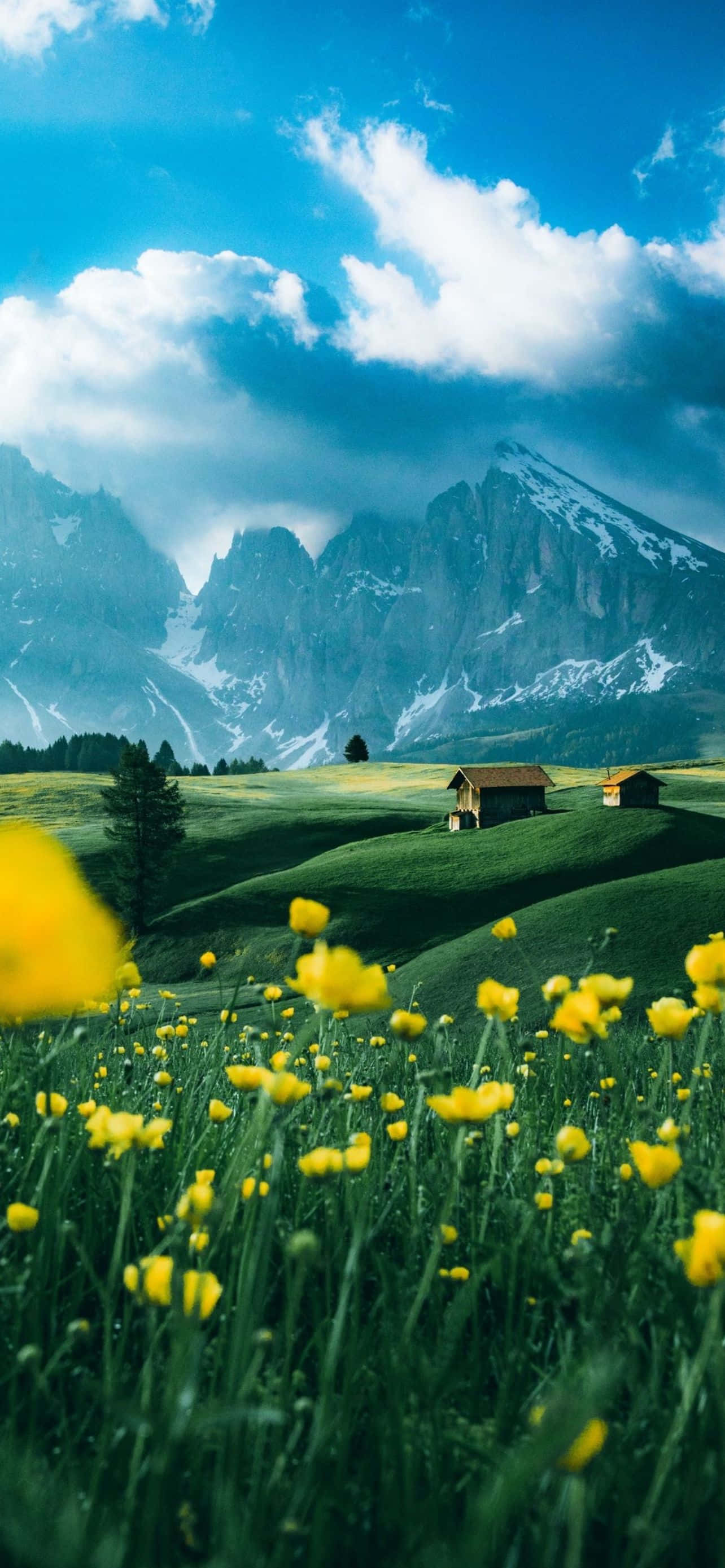 Download Serene Mountain Landscape