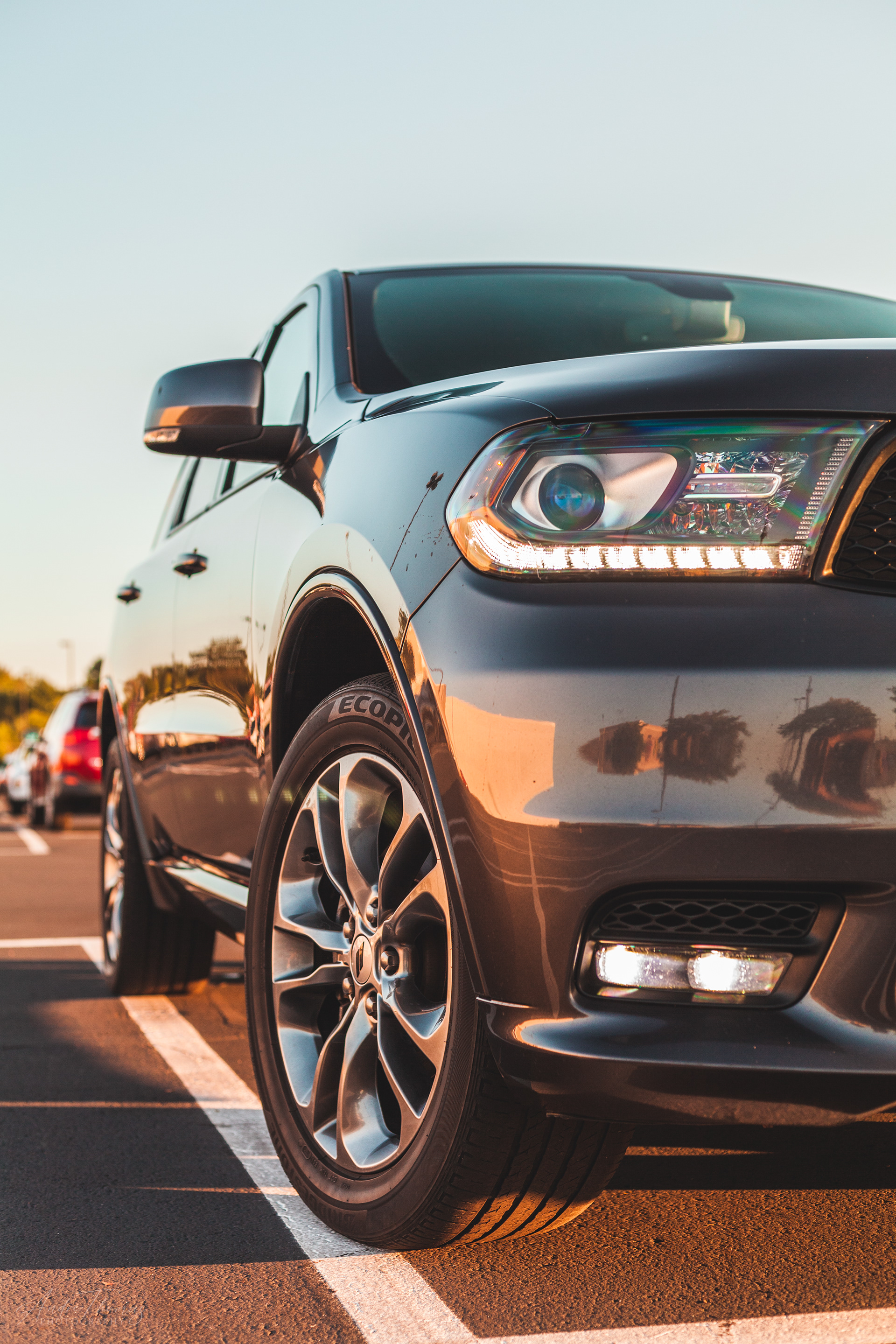 Andre Thomas Photography