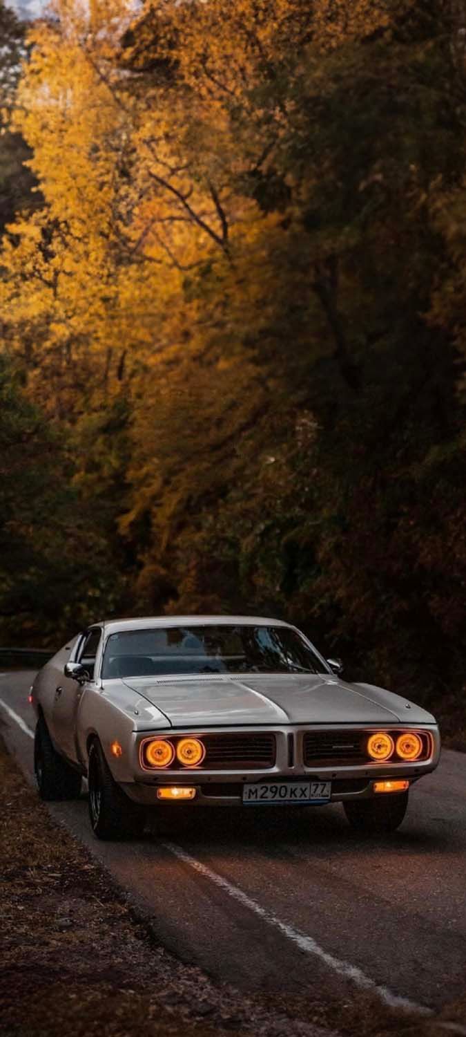 Pontiac GTO iPhone Wallpaper 4K