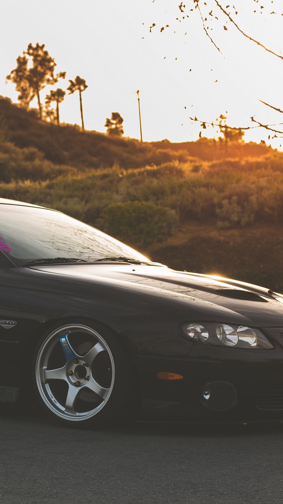 wallpaper 938x1668 pontiac, gto, black