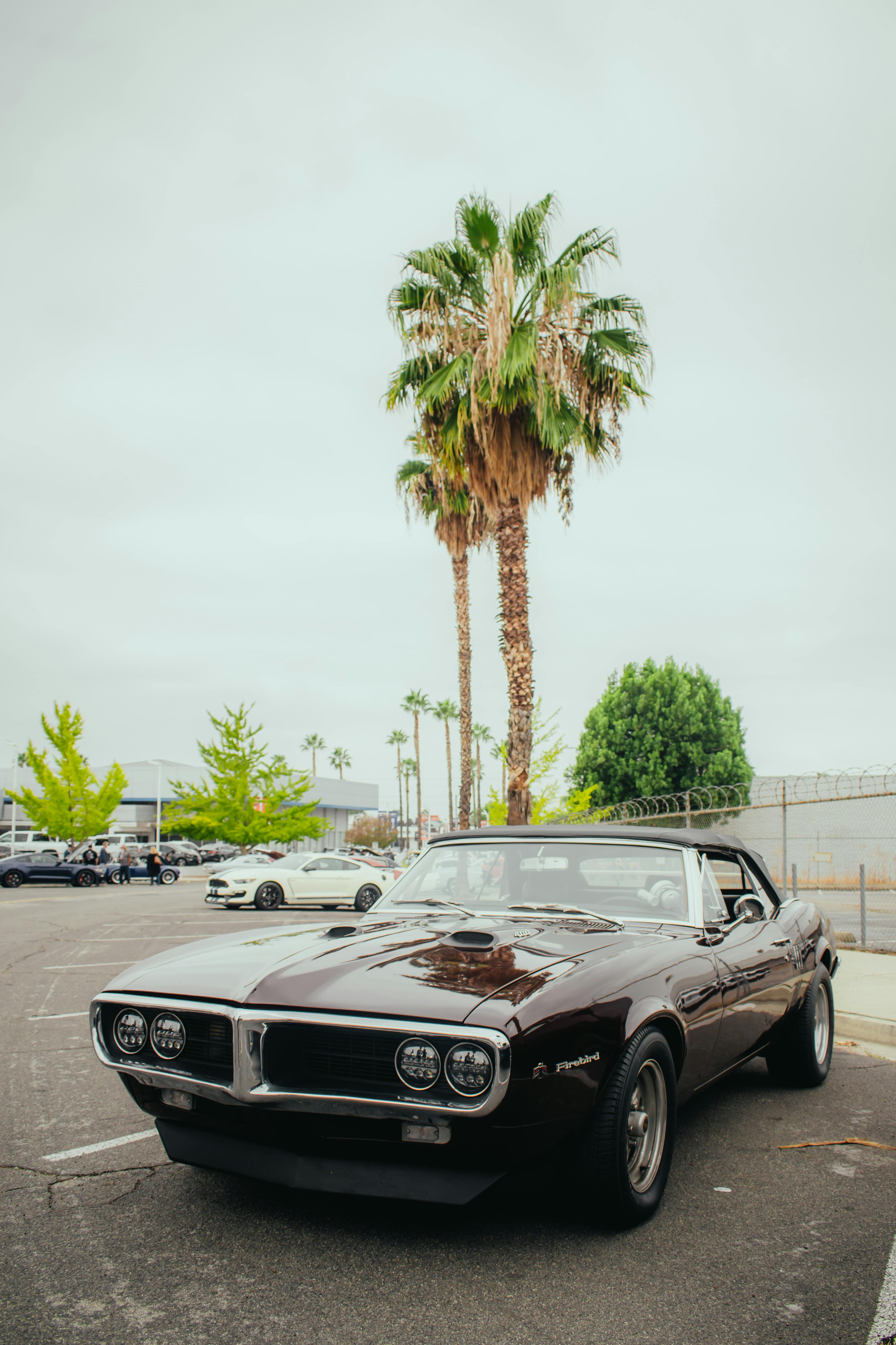A Classic Pontiac Firebird on a Parking