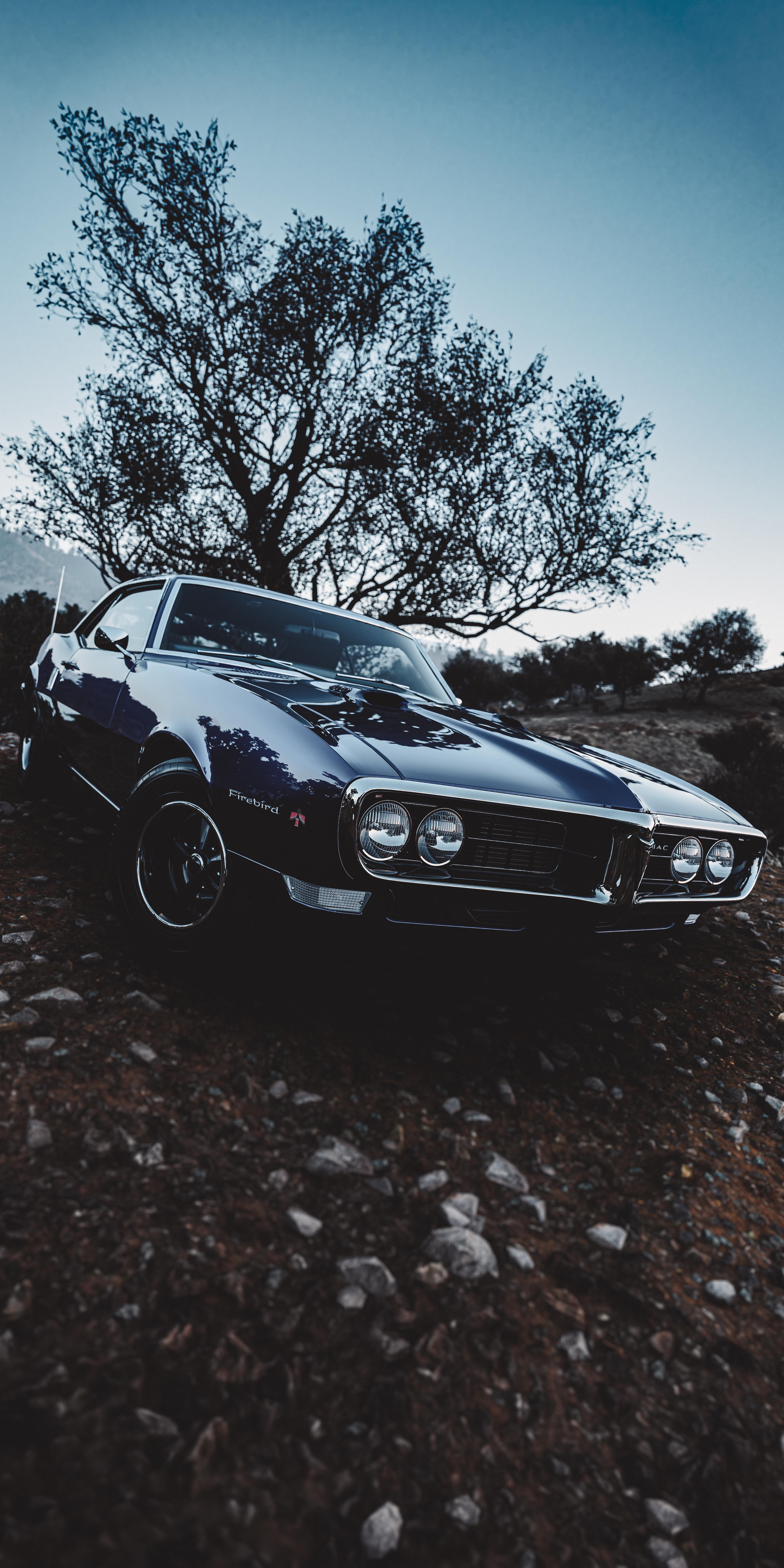 Pontiac Firebird 1968 [7680x3840], r