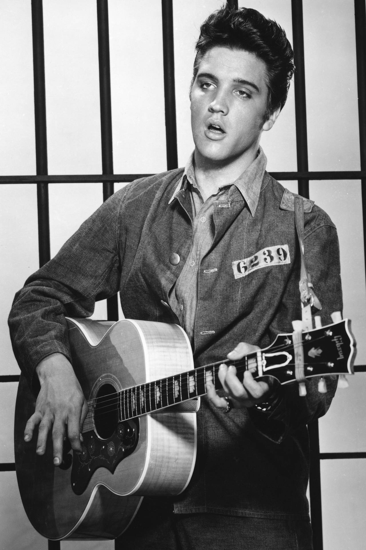 Elvis Presley Jailhouse Rock Wallpaper