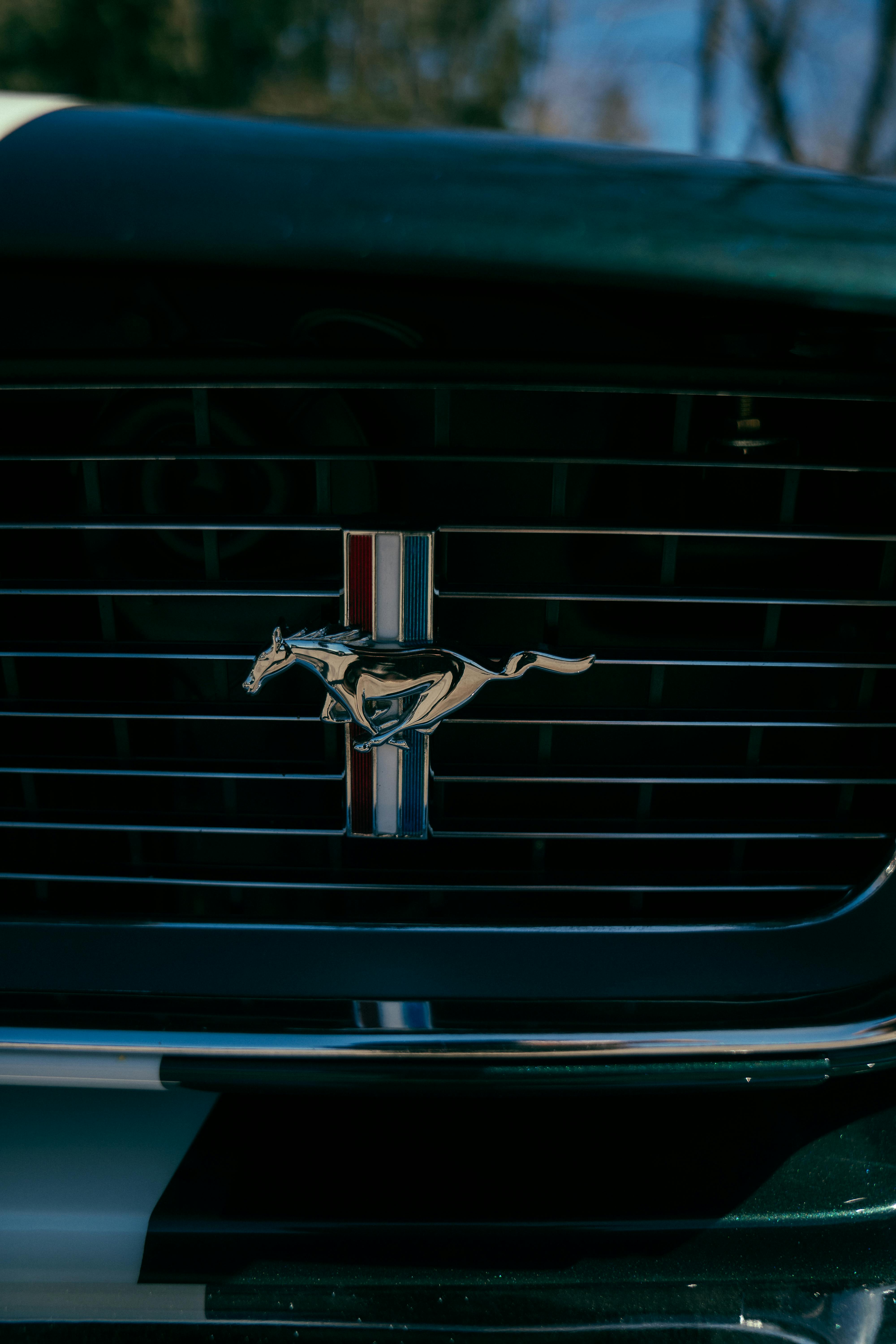 Emblem of a Vintage Ford Mustang
