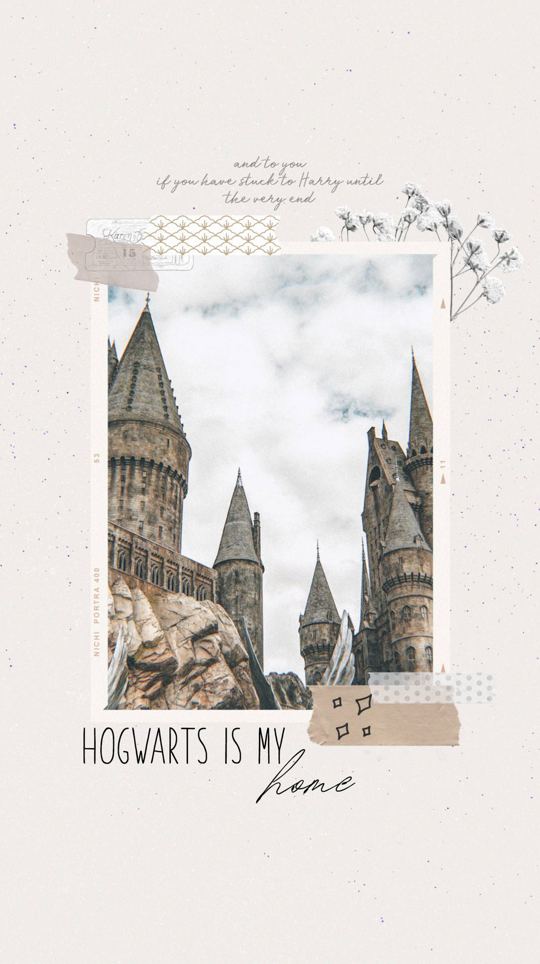 Download Aesthetic Harry Potter Hogwarts Home Wallpaper