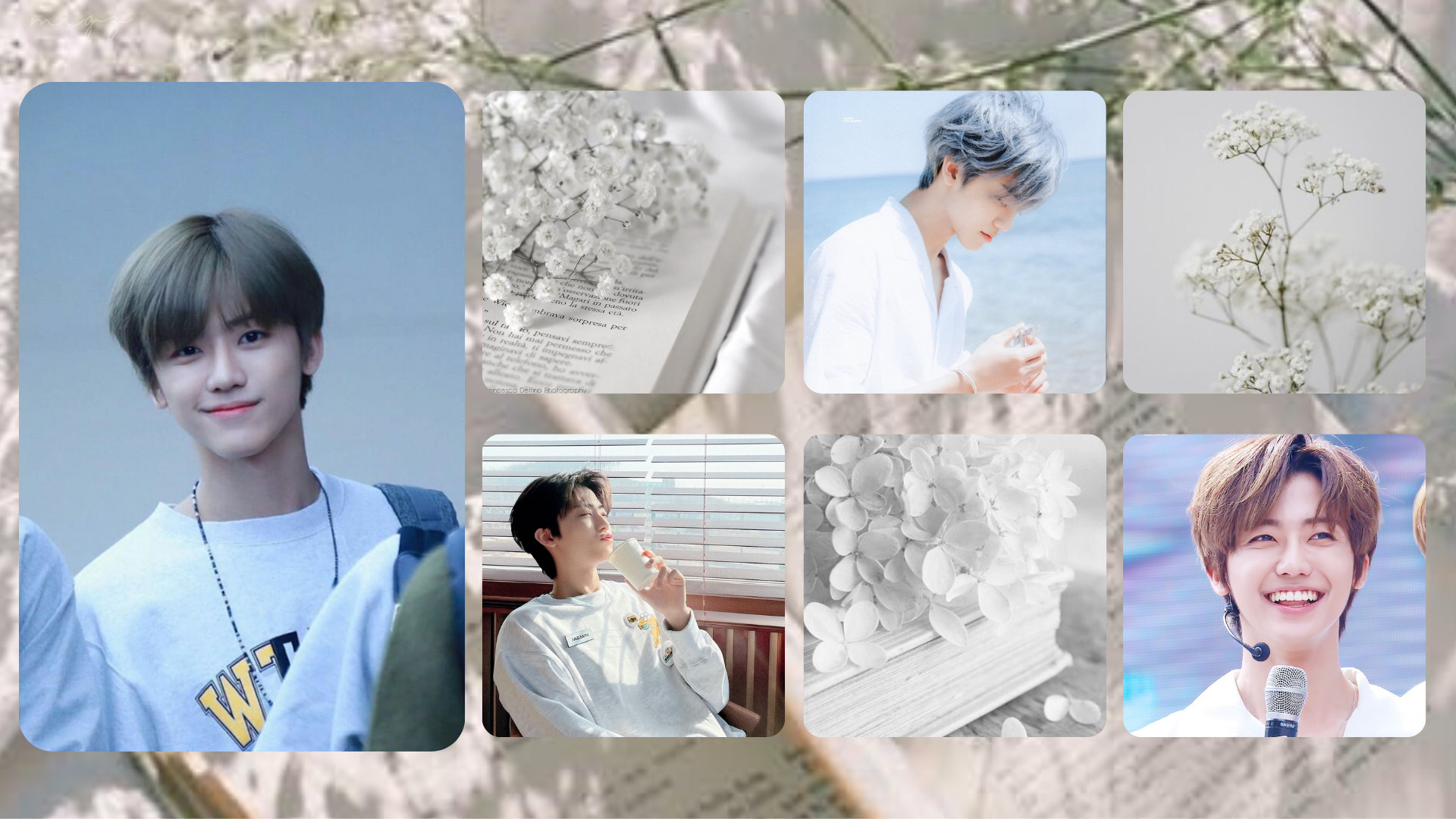 Na Jaemin Desktop Wallpaper And Or