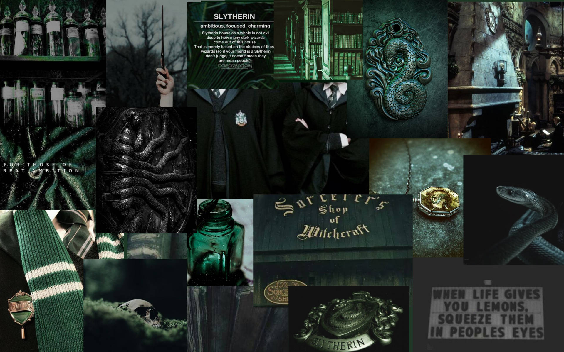 Harry Potter Aesthetic Slytherin