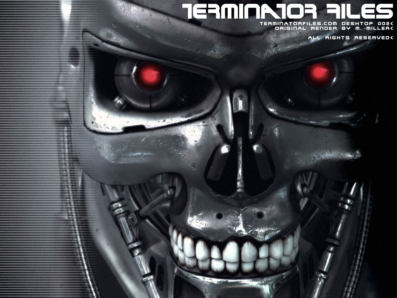Terminator Wallpaper, to enhance your