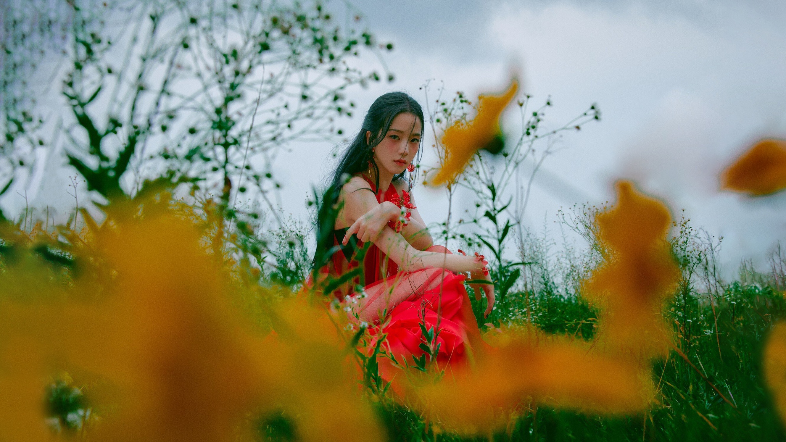 Wallpaper flower, Wallpaper for desktop