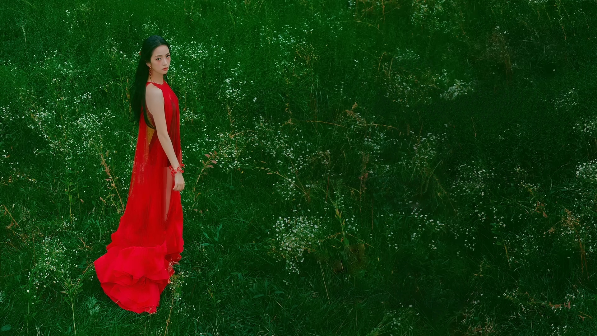 Wallpaper flower, 1920x1080, Wallpaper