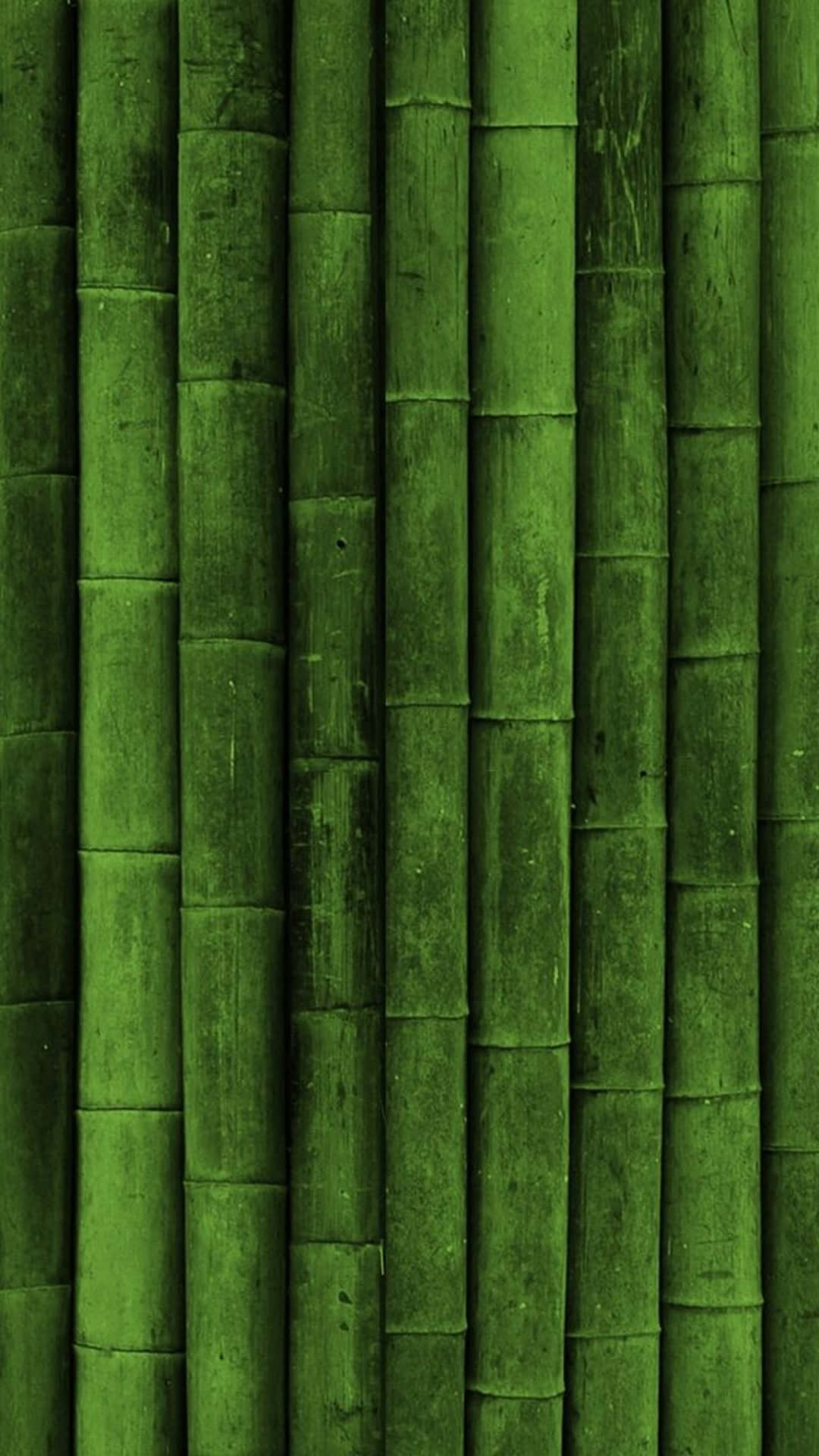 Download free Bamboo Green Phone
