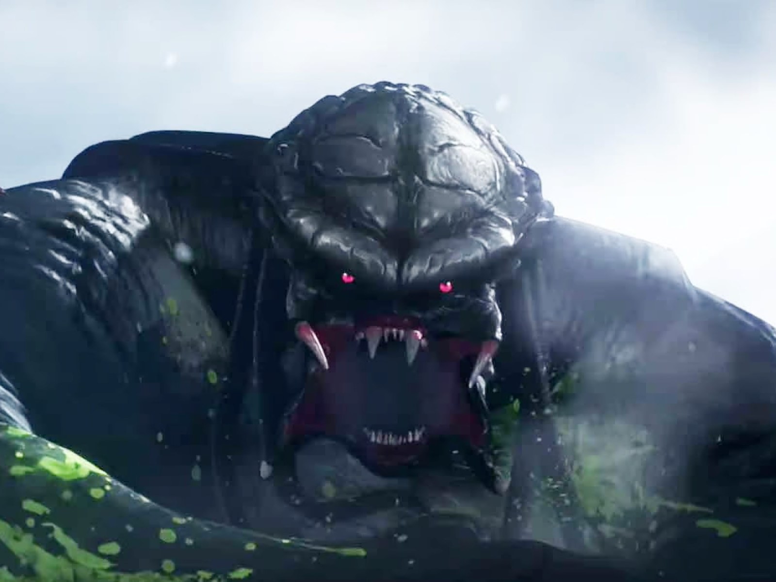 Predator' Director Talks 'Killer