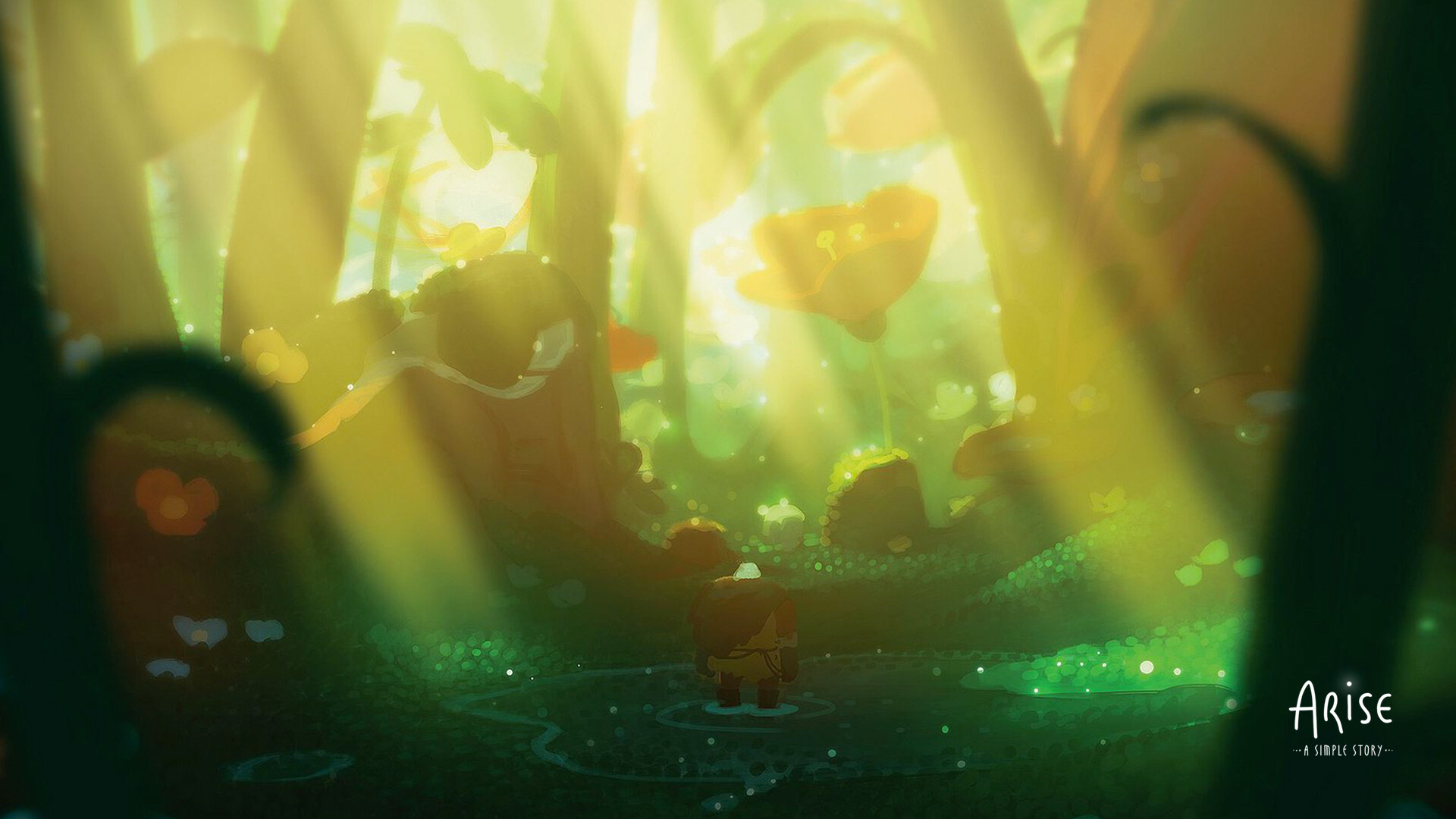 A Simple Story Piccolo Studio, Concept