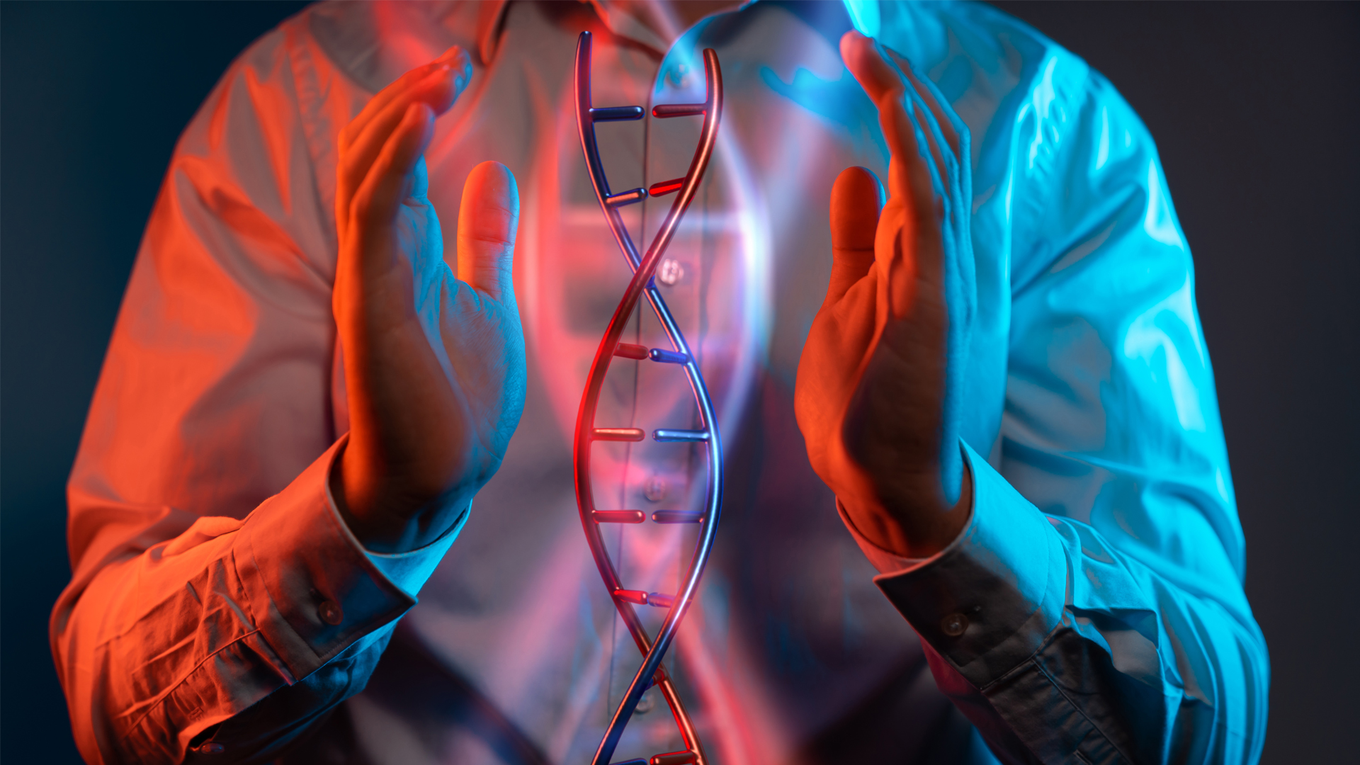 generate 3D image of the human genome