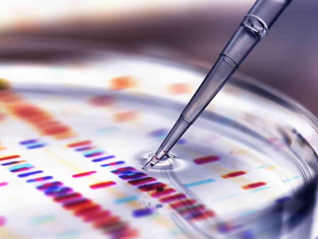 Bioinformatics Services