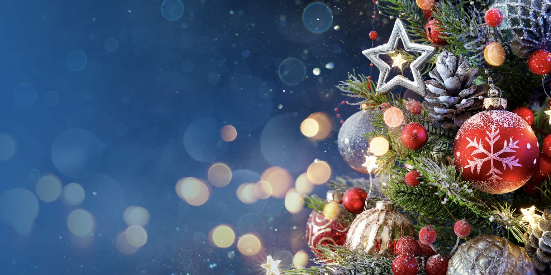 Xmas Christmas Multi Color Ornaments