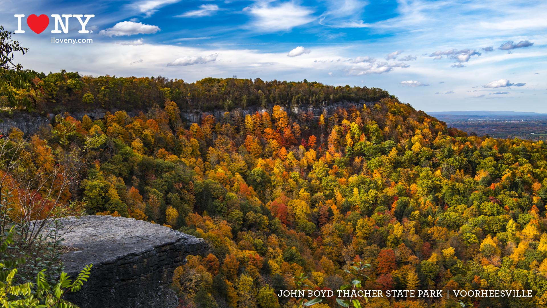 Video conferencing background featuring New York State in the fall