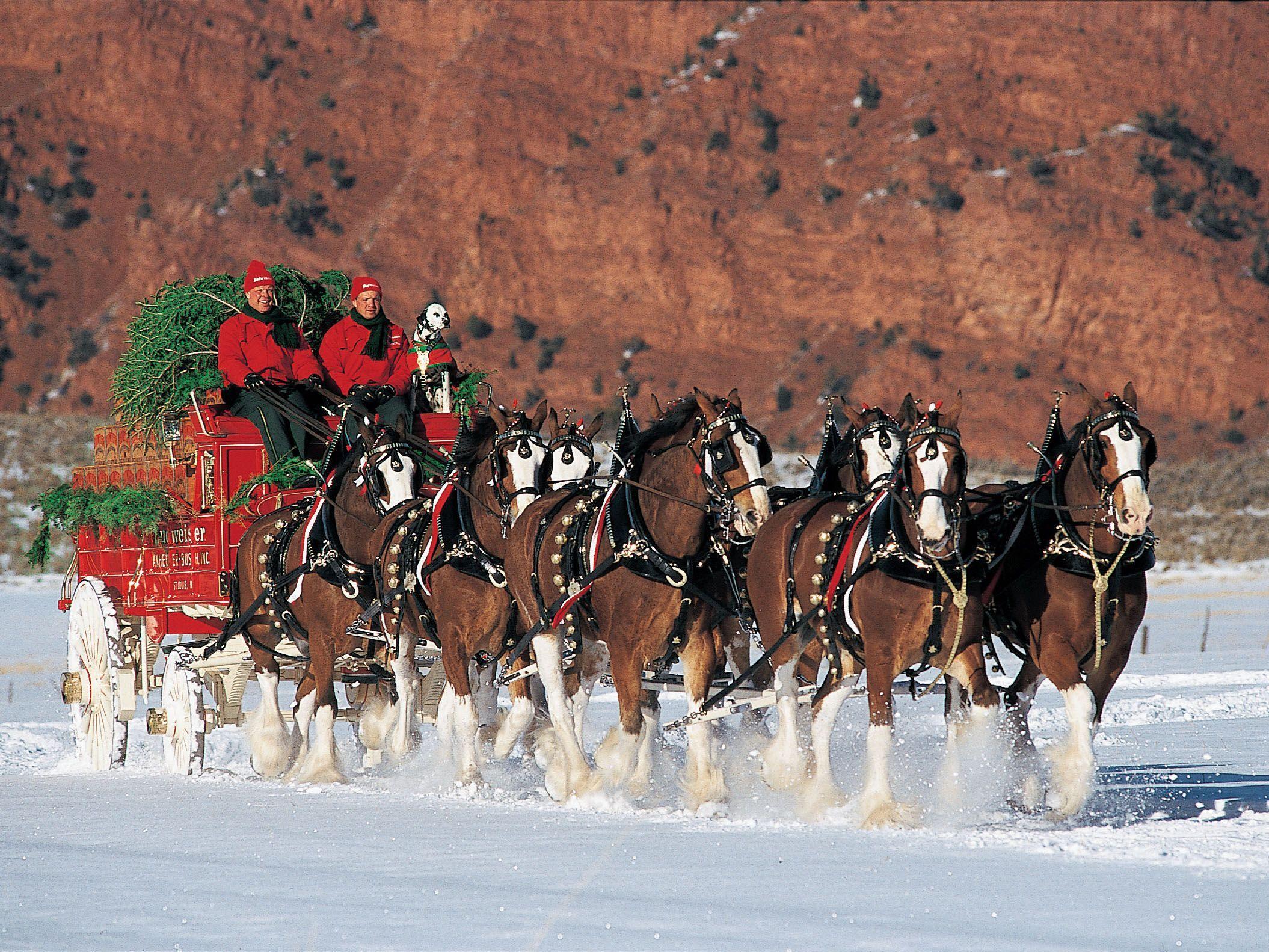 Christmas Horse Wallpaper Free