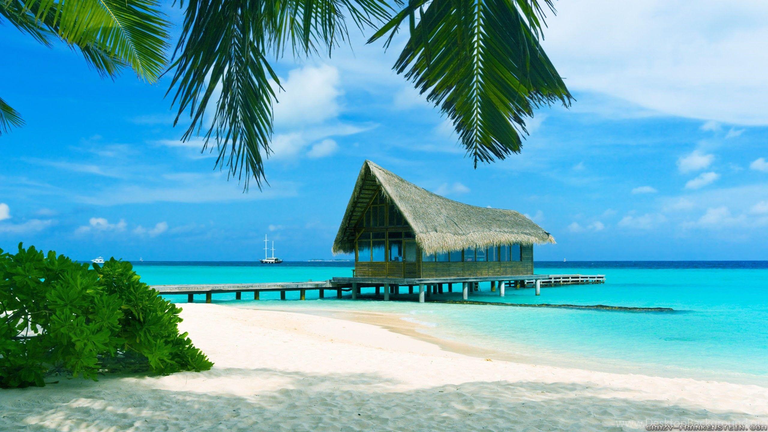 Summer Scenes Wallpaper Free