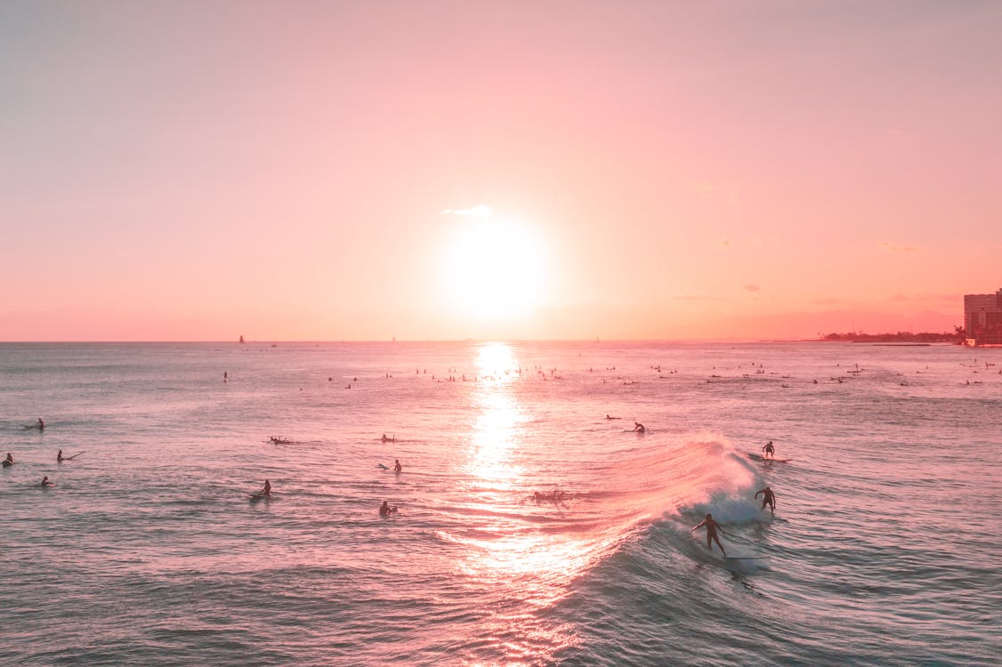People Surfing on the Sea during Sunset