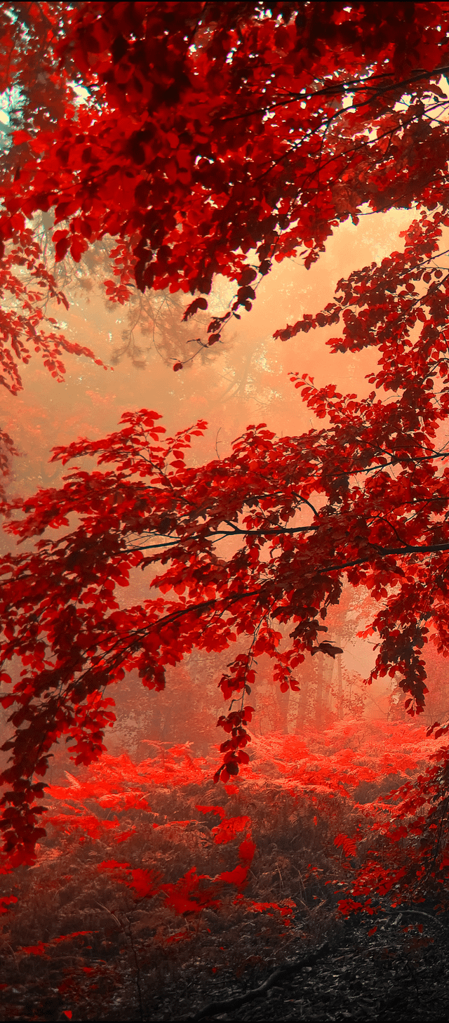 wallpaper it severely darkens