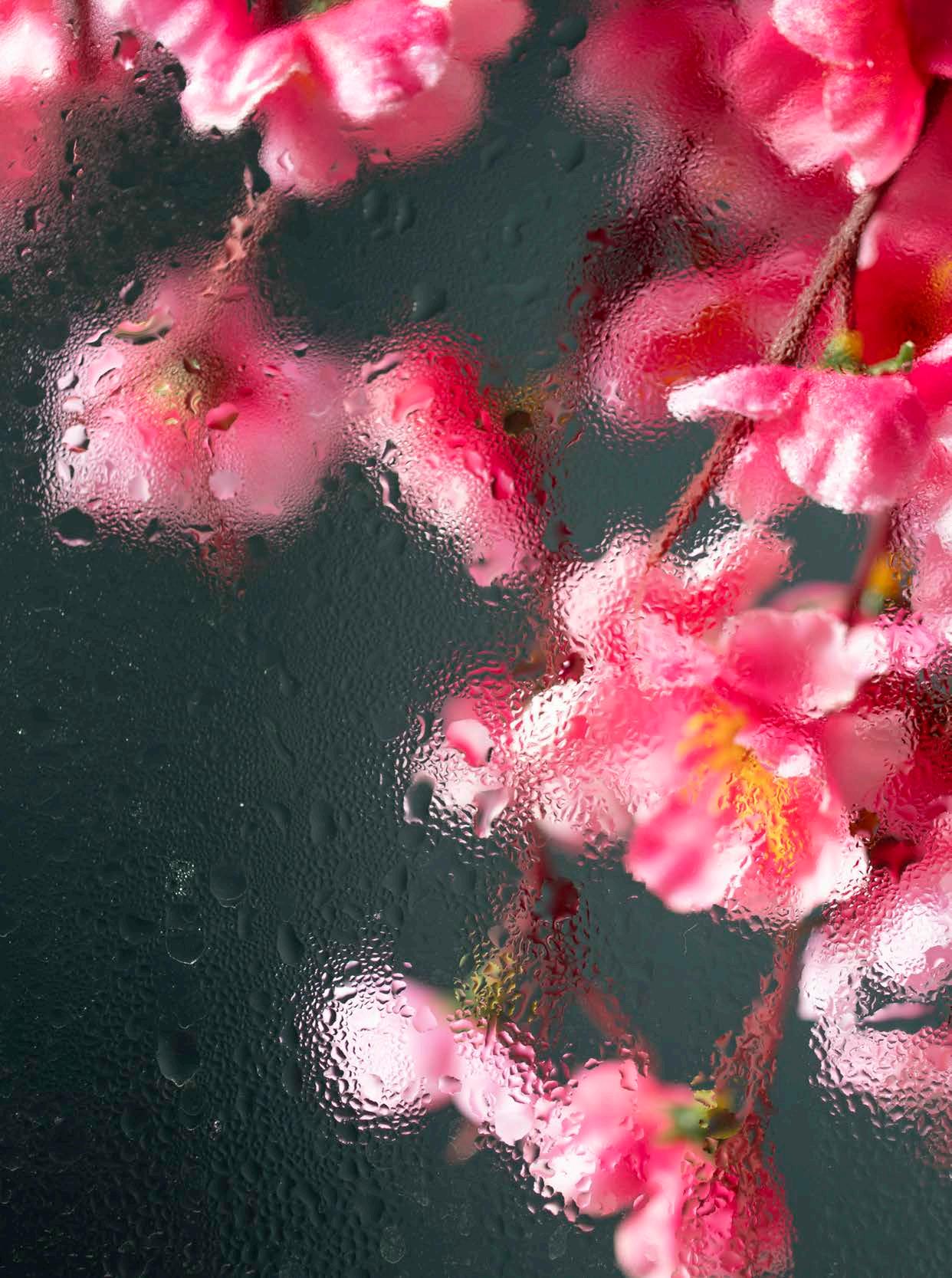 April Showers Bring May Flowers