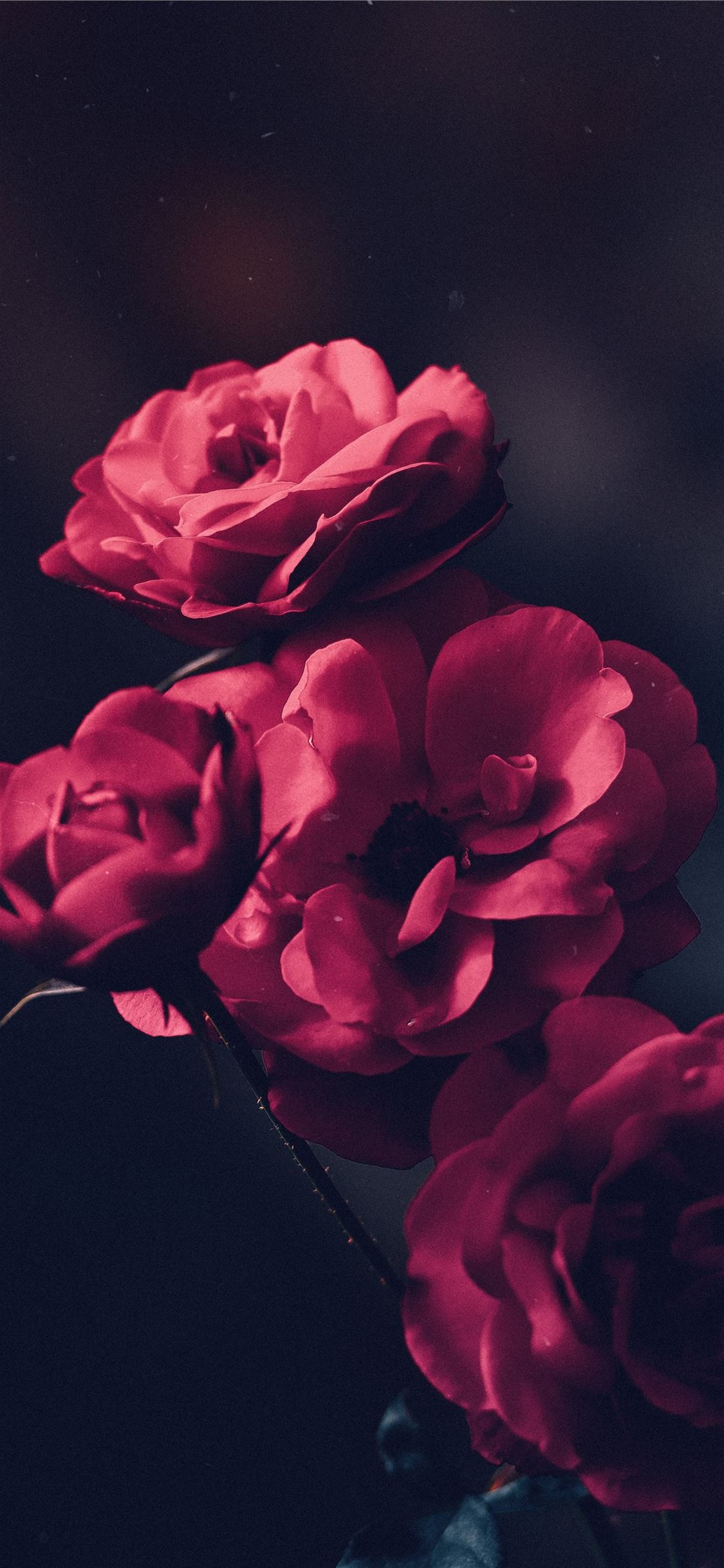 Latest Spring iPhone X HD Wallpaper