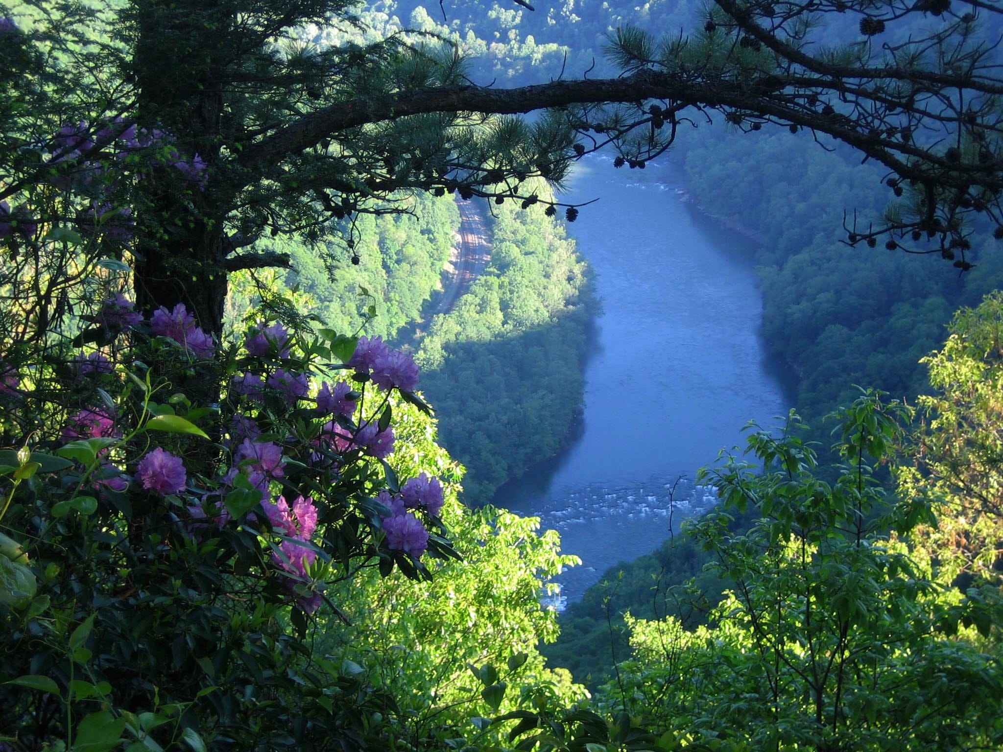 New River Gorge National Park could be